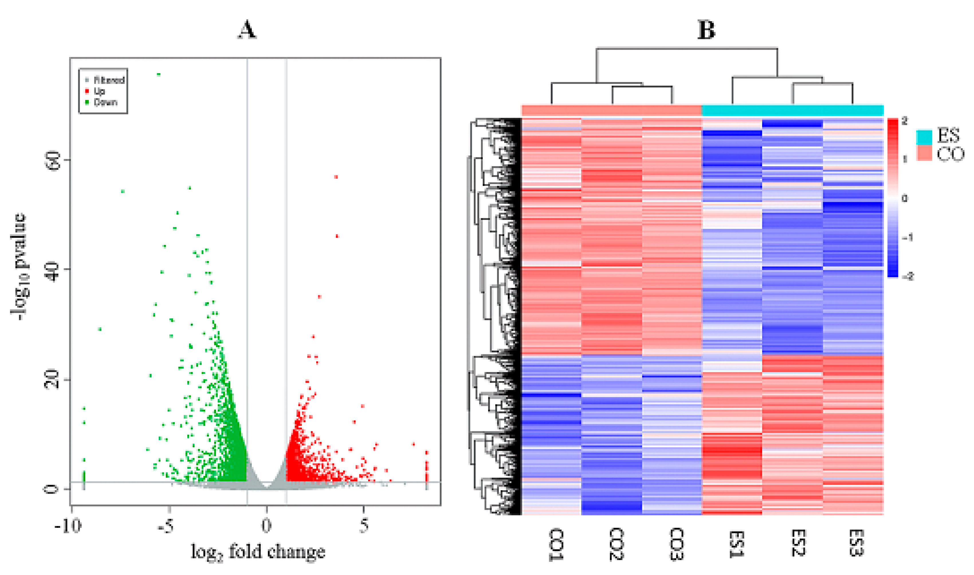 Animals | Free Full-Text | The Study of the Response of Fat 