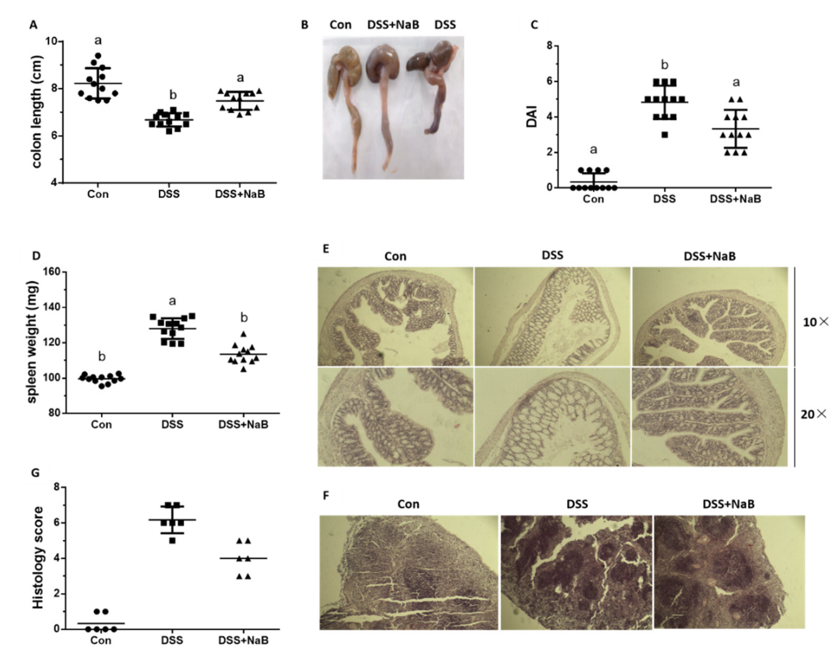Animals 10 01154 g001 Animals 10 01154 g001
