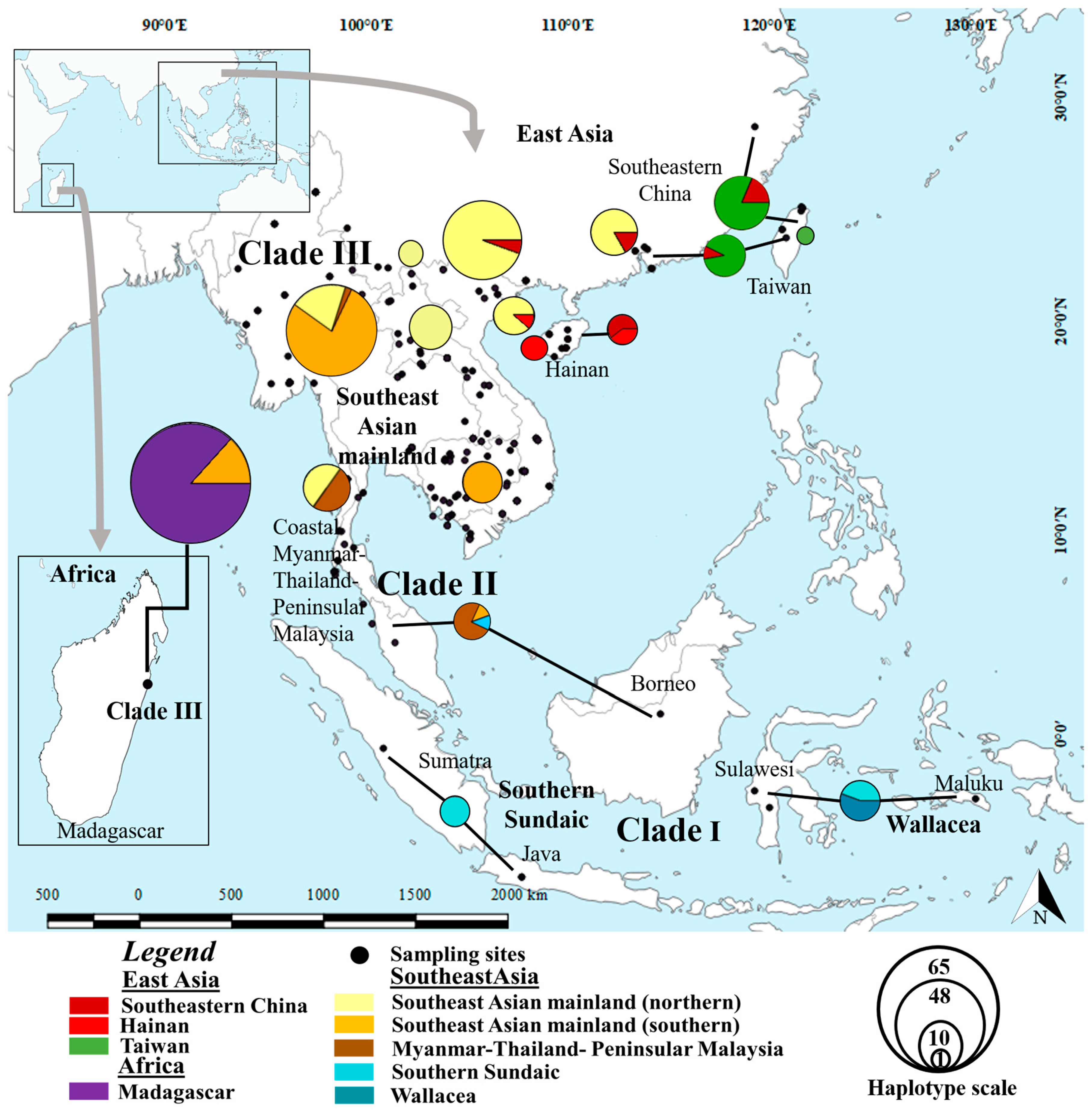 Animals 10 01157 g001