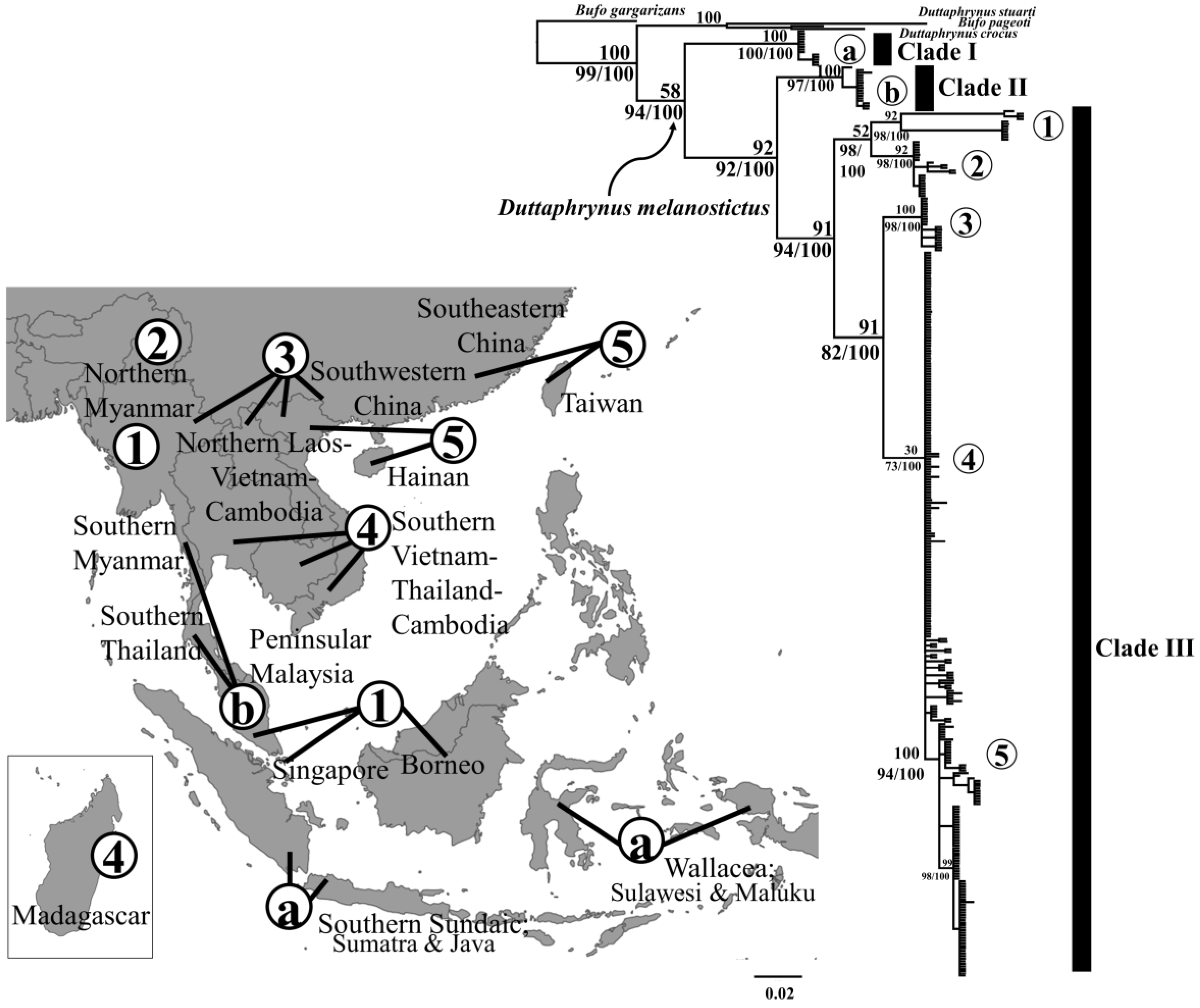 Animals 10 01157 g002