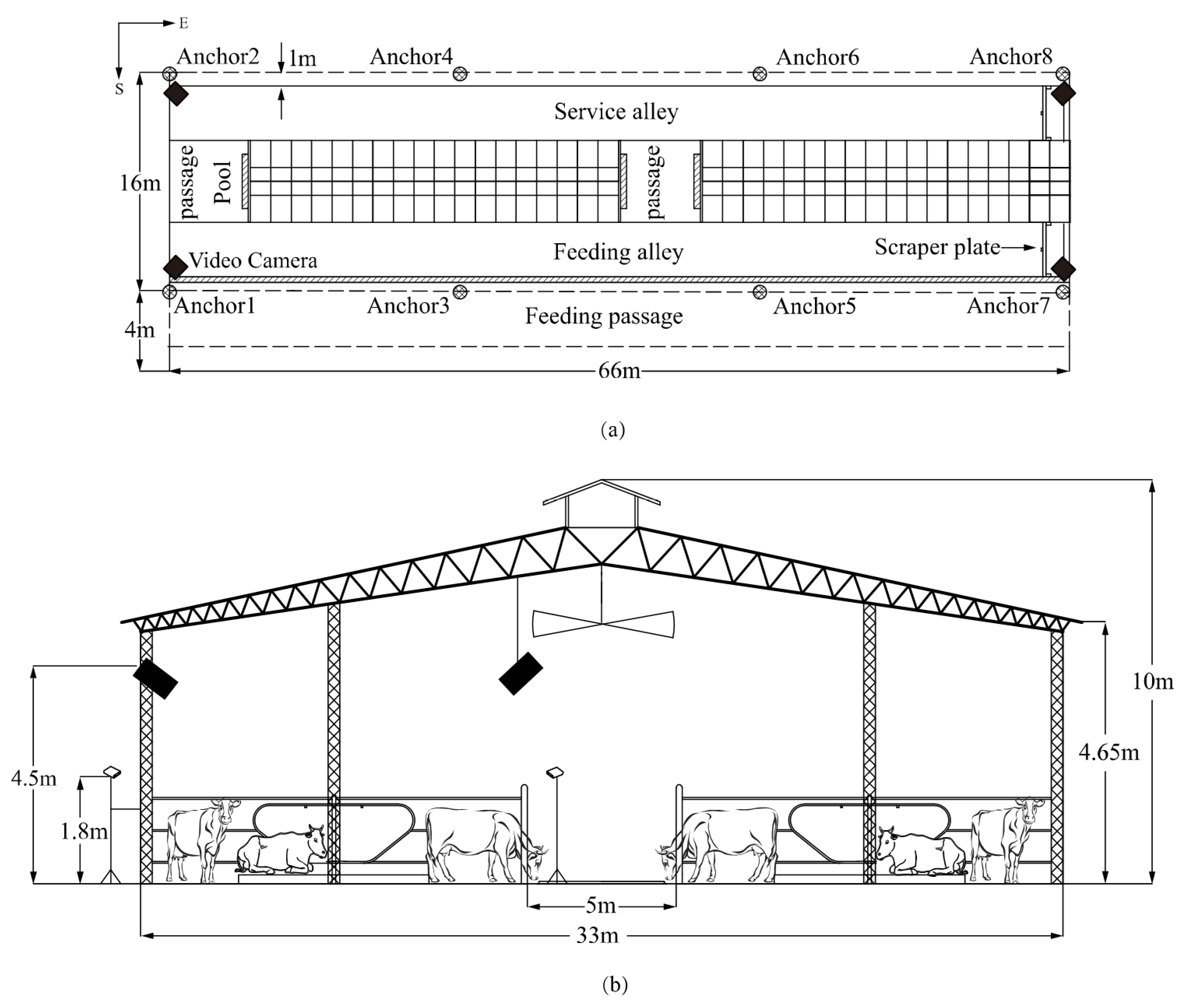 Animals 10 01160 g003