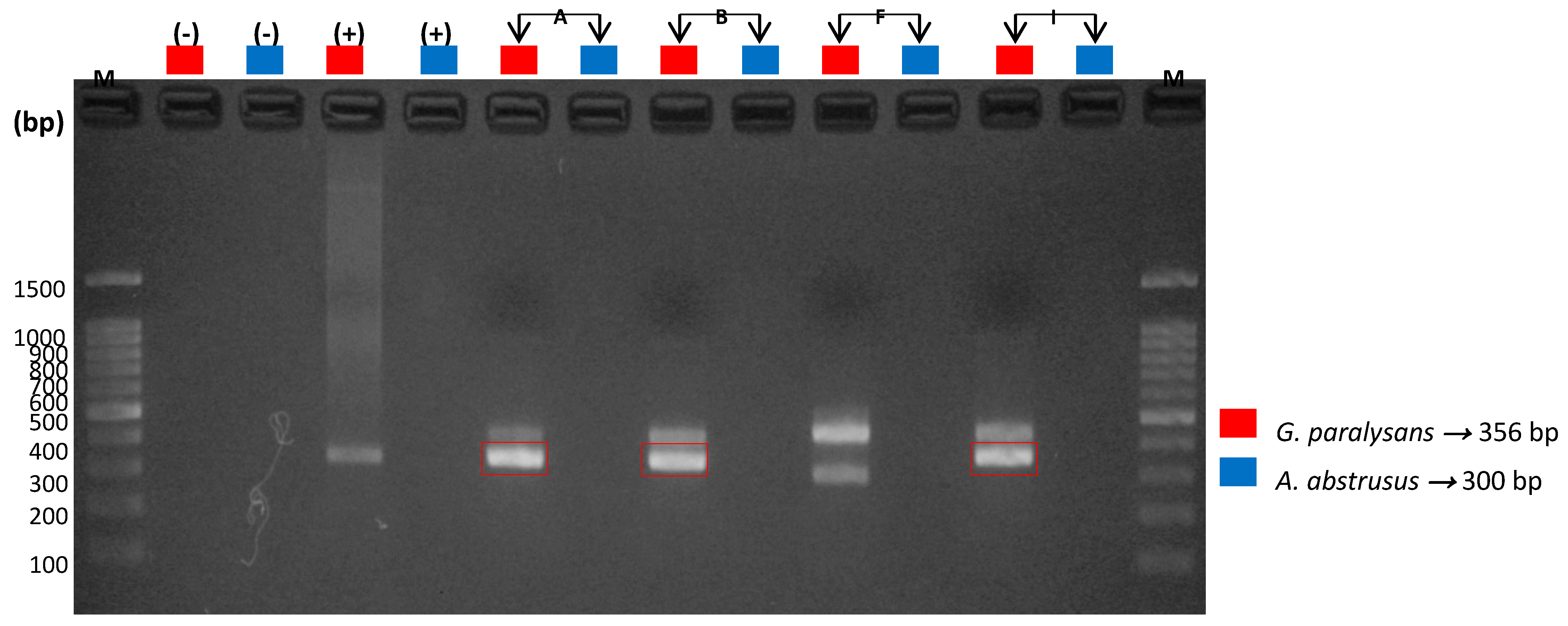 Animals 10 01169 g004 Animals 10 01169 g004