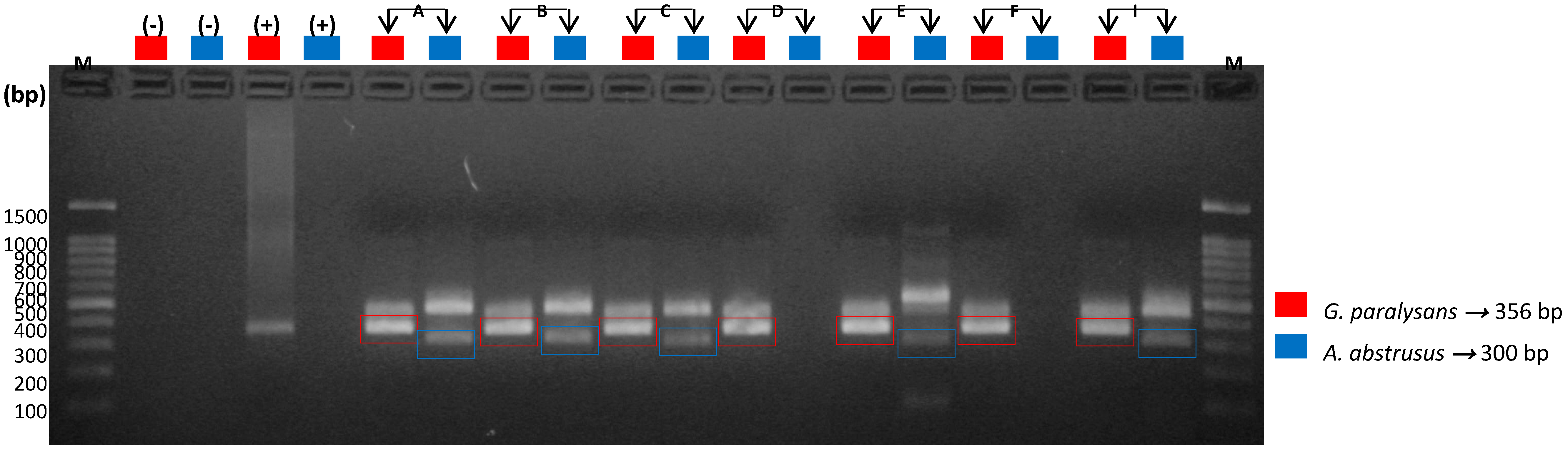 Animals 10 01169 g005 Animals 10 01169 g005