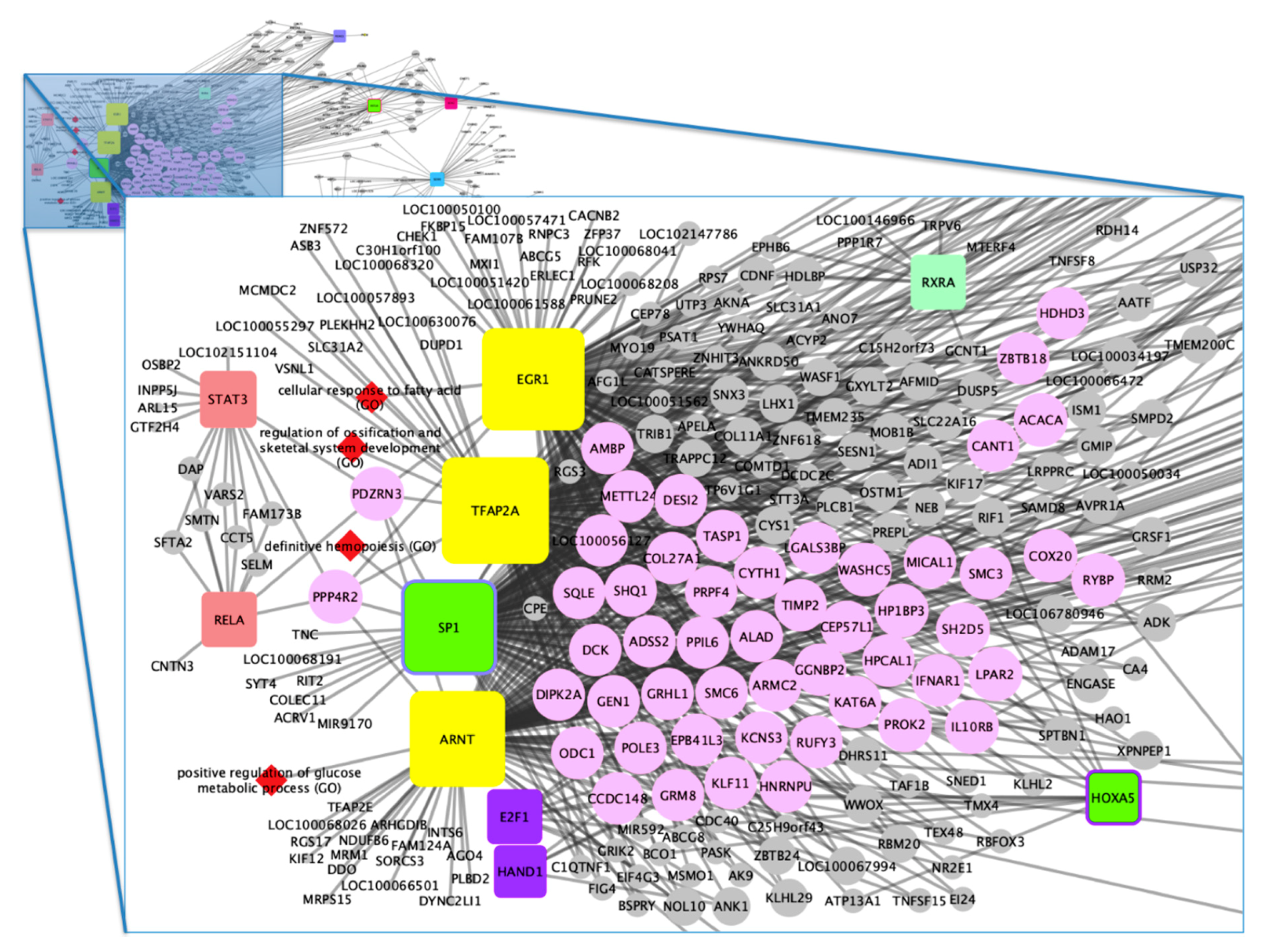 Animals 10 01173 g002