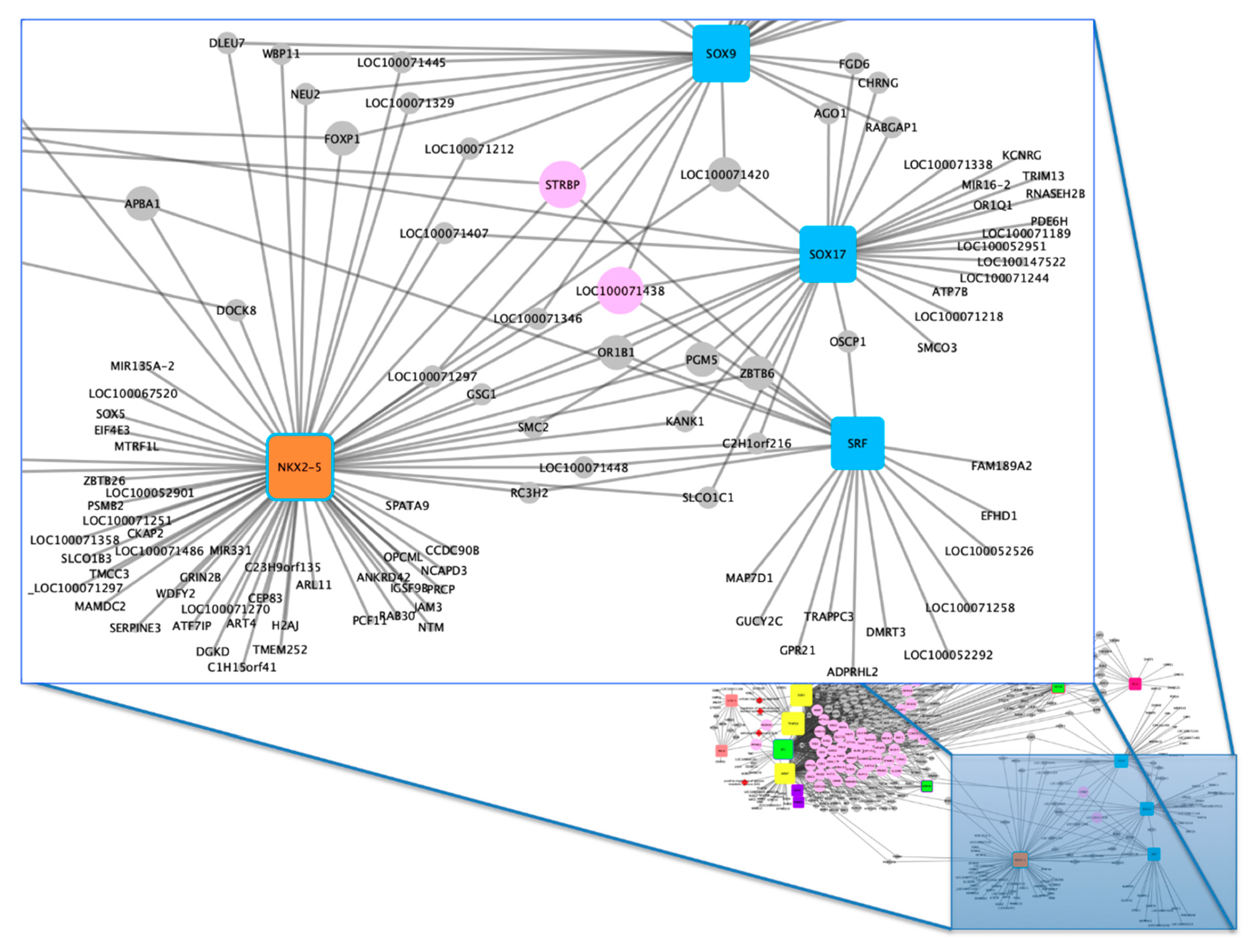 Animals 10 01173 g003