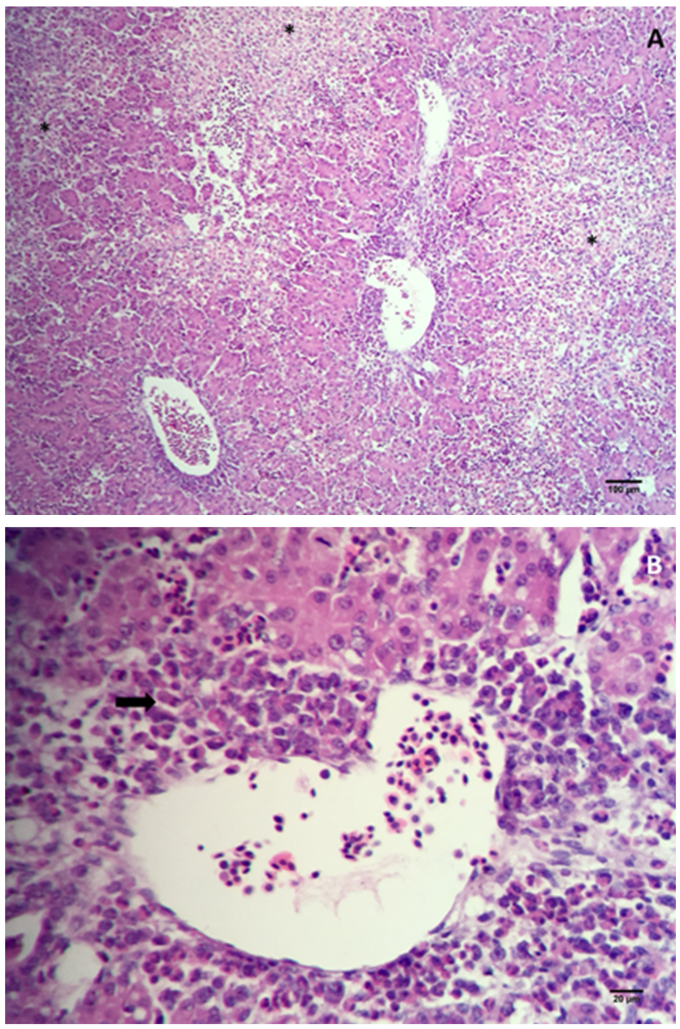 Animals 10 01195 g002 Animals 10 01195 g002