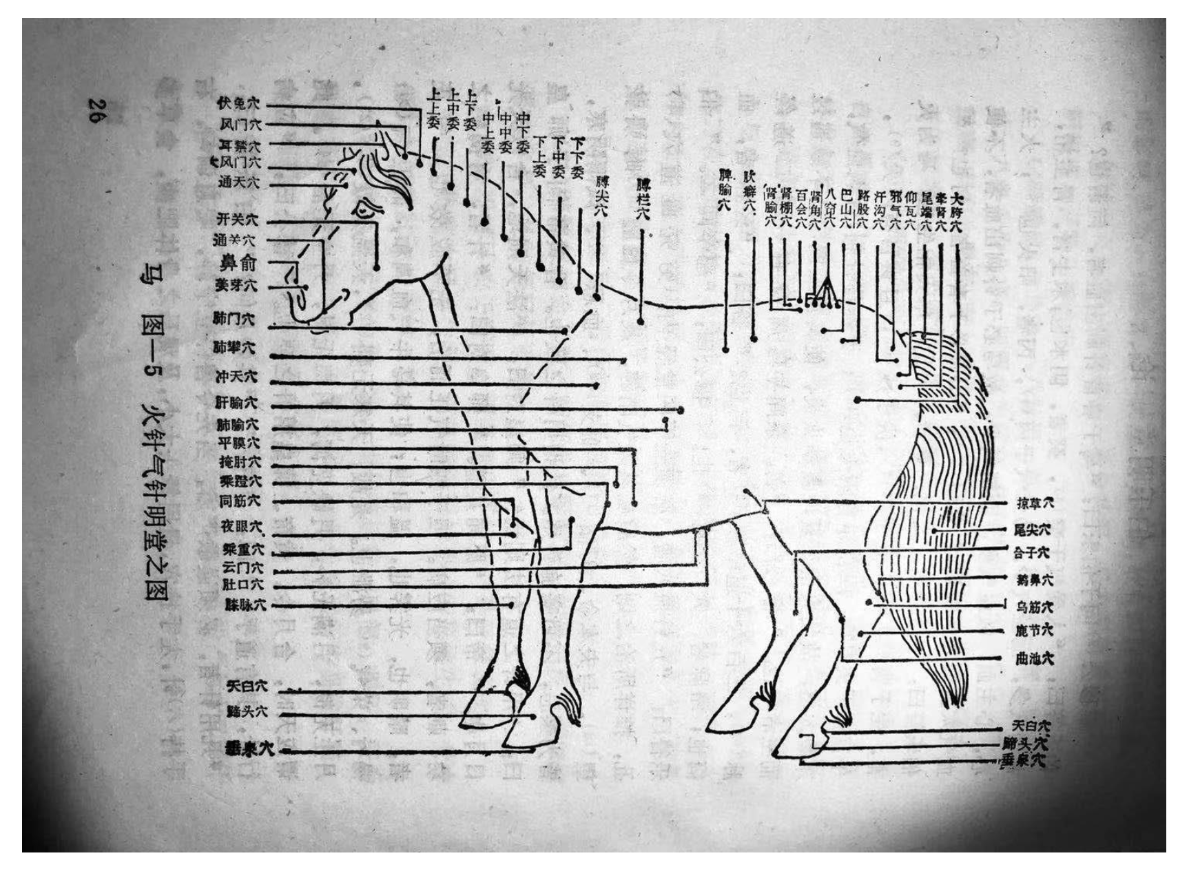 Animals 10 01196 g002 Animals 10 01196 g002