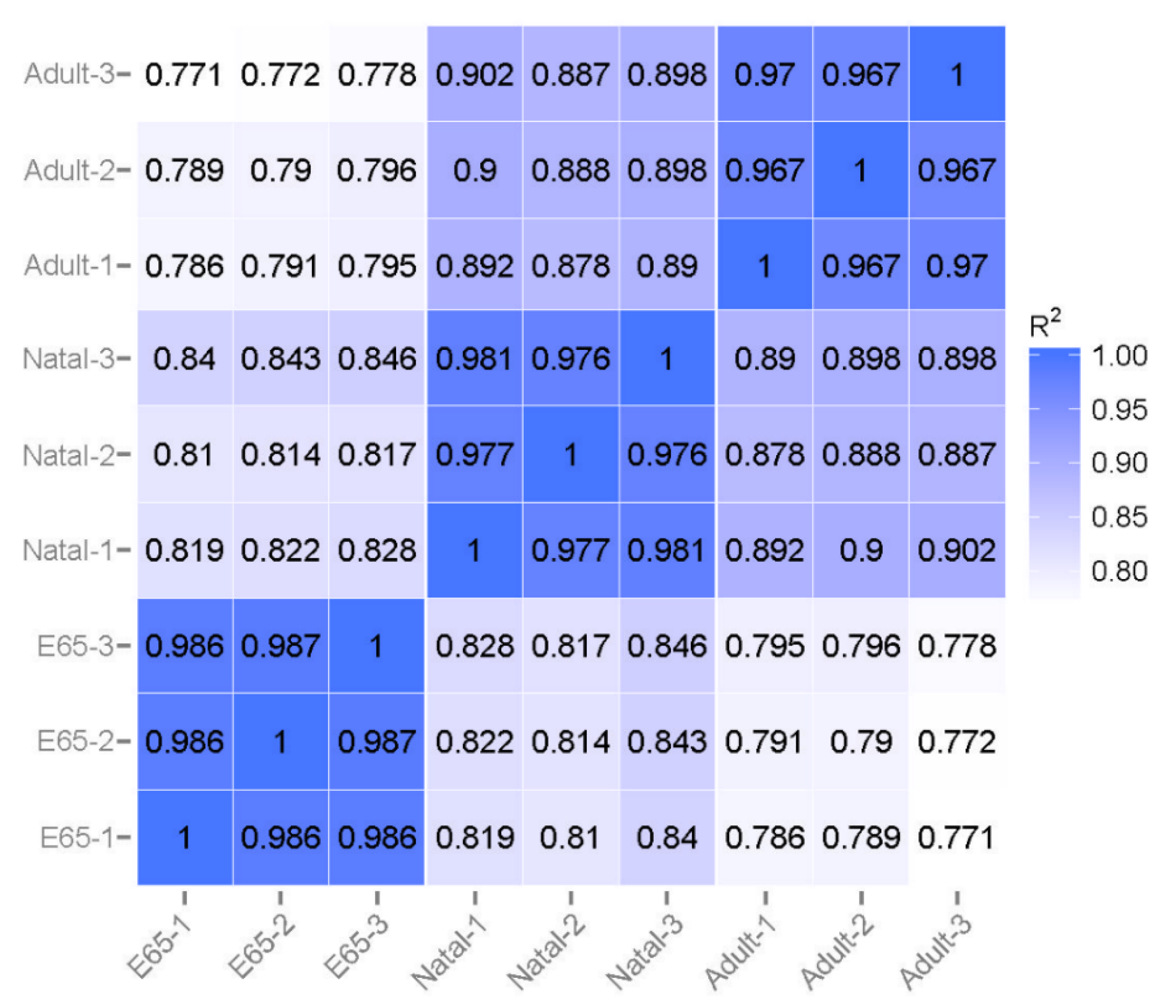 Animals 10 01198 g001