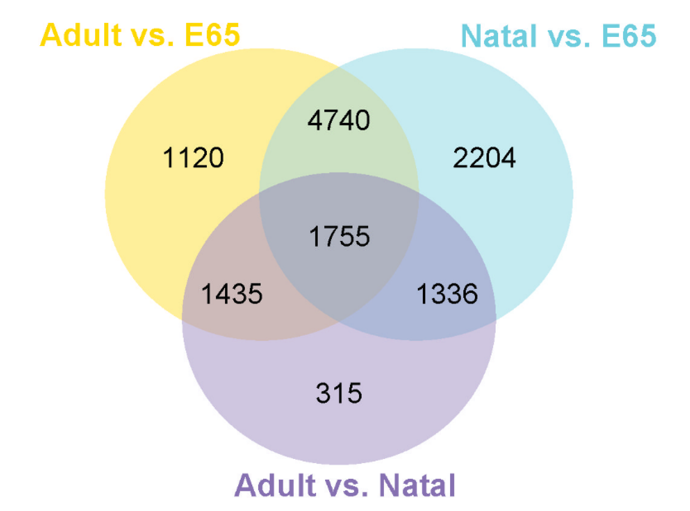 Animals 10 01198 g003