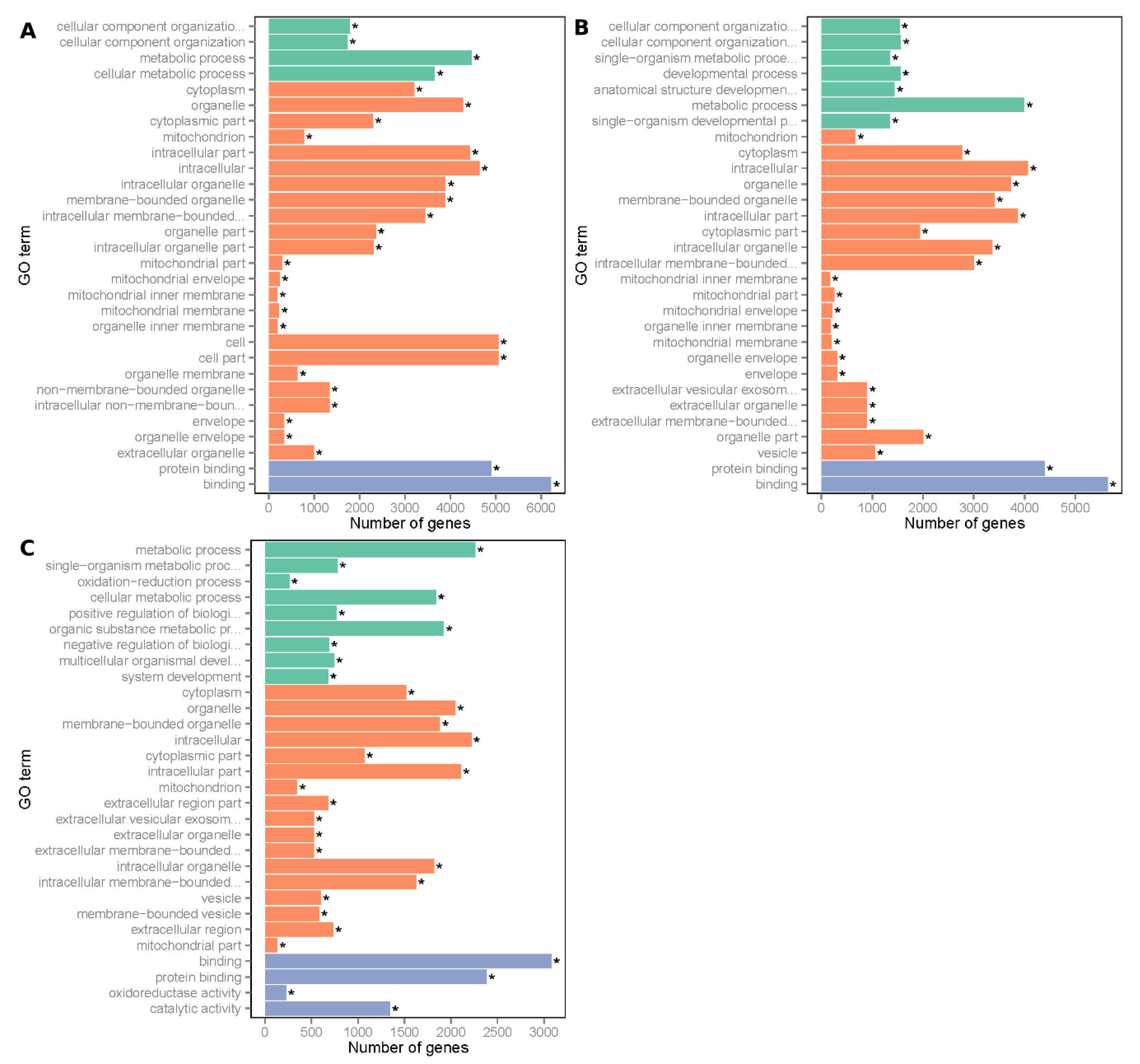 Animals 10 01198 g004