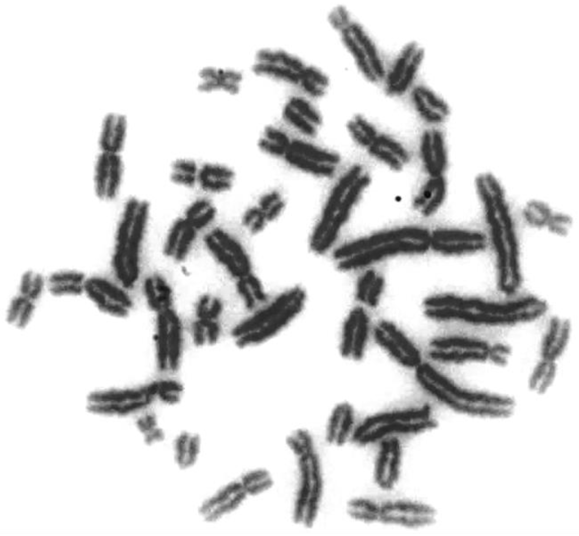 Animals 10 01200 g001 Animals 10 01200 g001