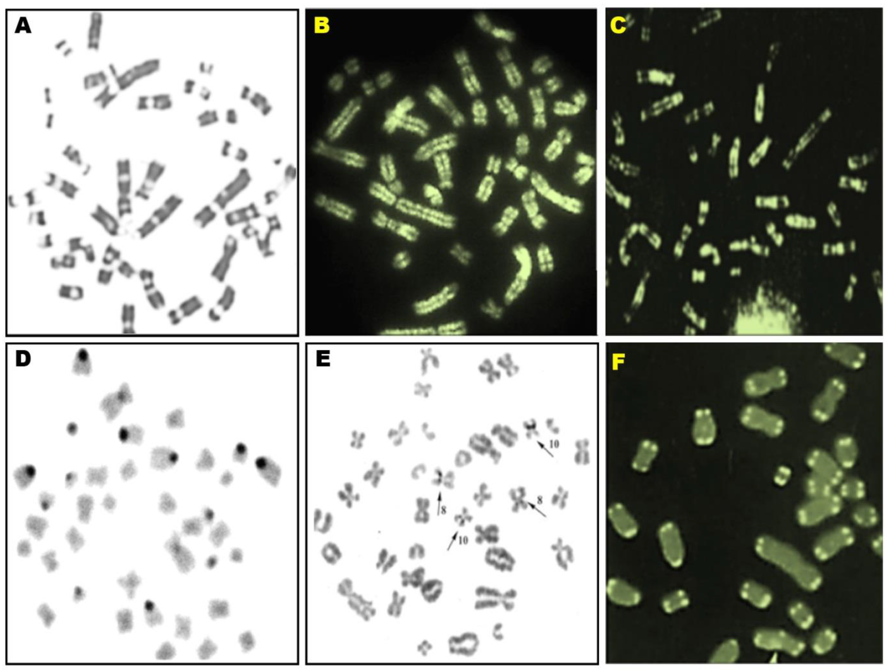Animals 10 01200 g002 Animals 10 01200 g002