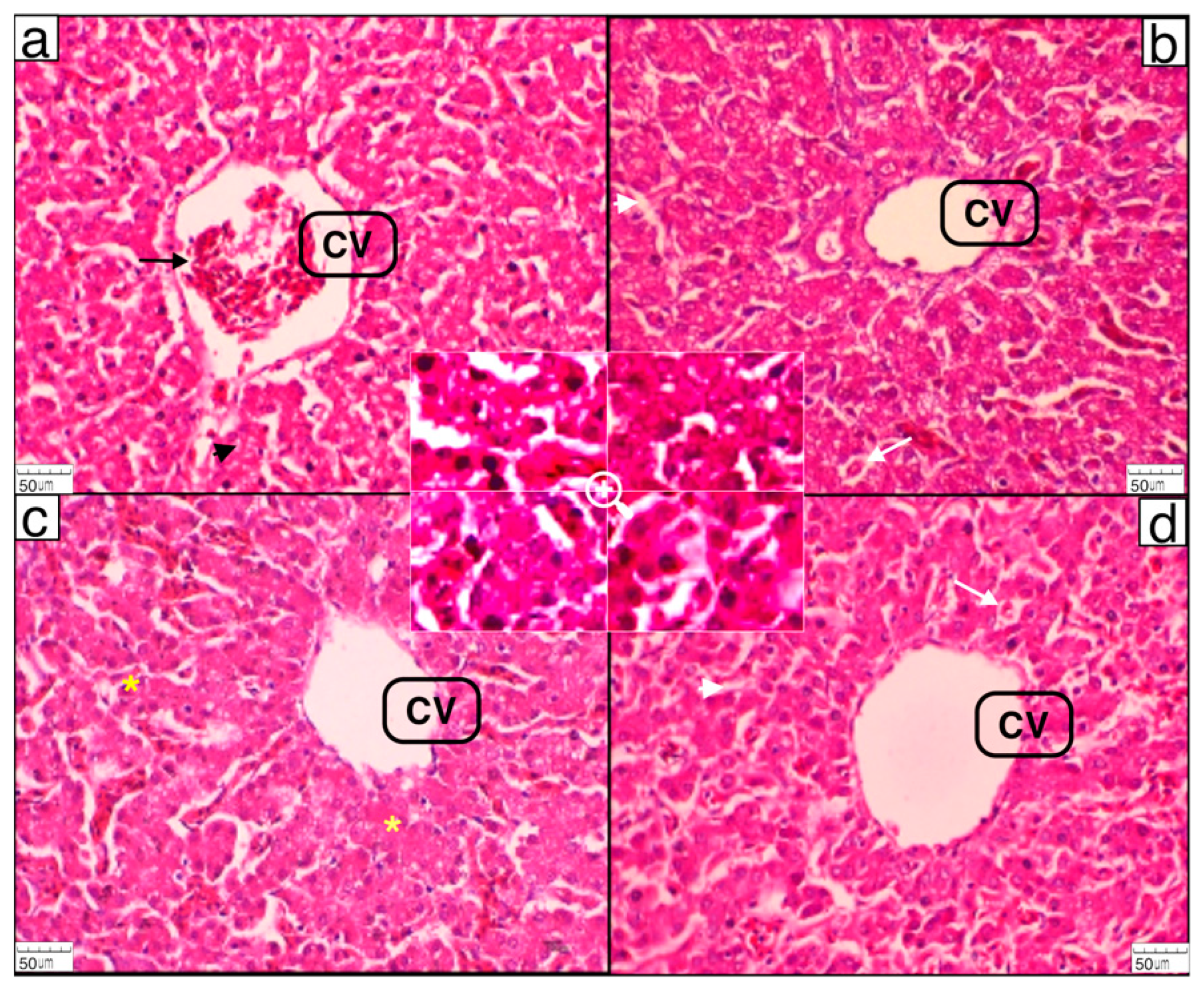 Animals 10 01209 g001