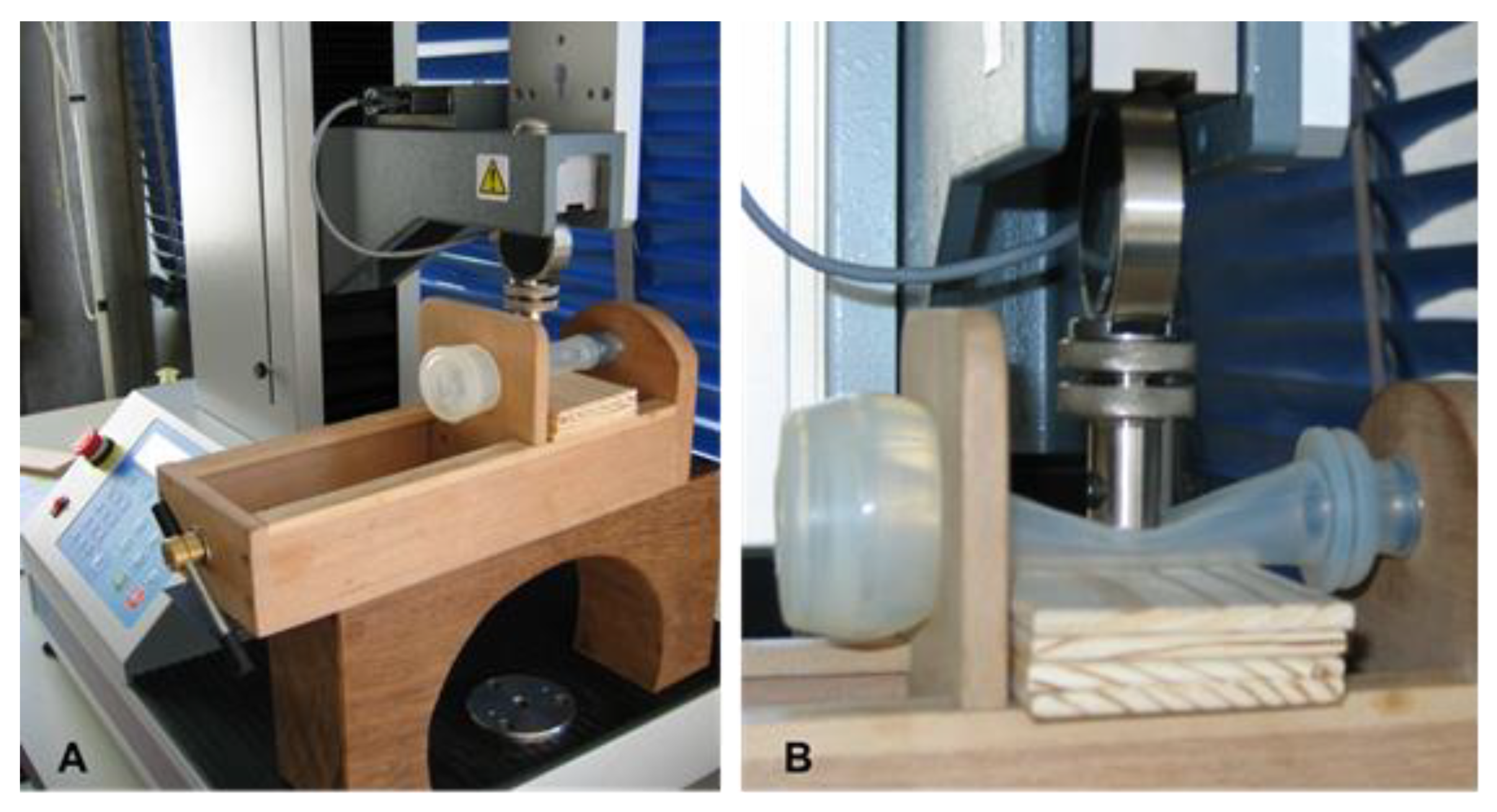 Animals 10 01213 g002