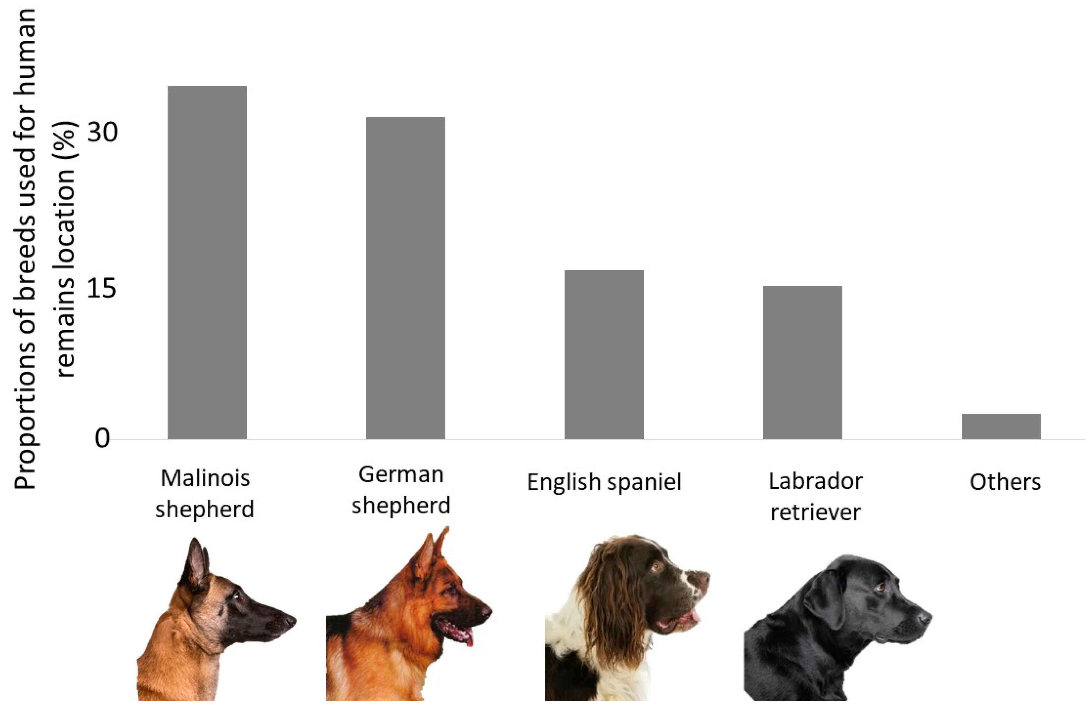Animals | Free Full-Text | Cadaver Dogs and the Deathly Hallows—A Survey  and Literature Review on Selection and Training Procedure