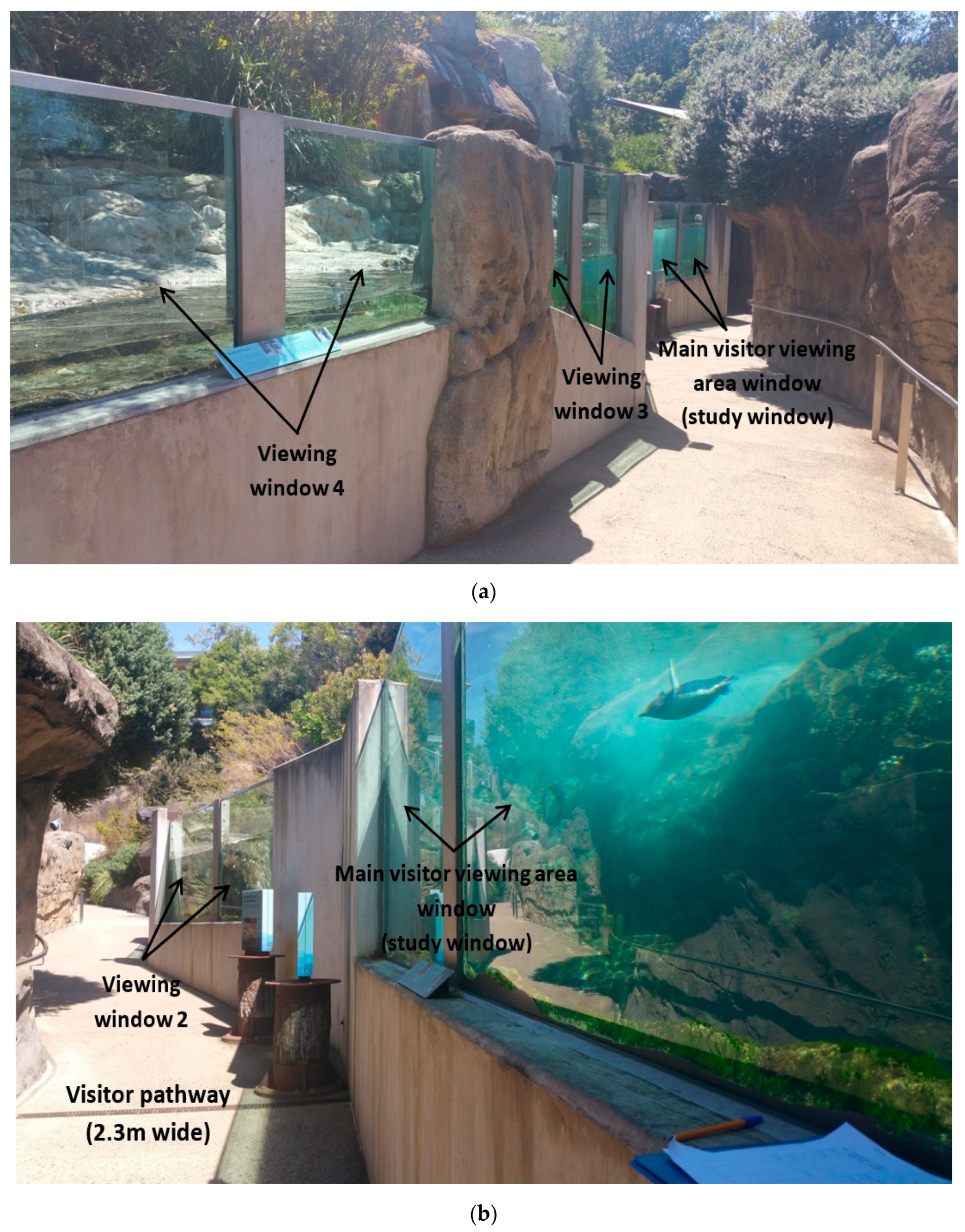 Animals 10 01224 g002 Animals 10 01224 g002