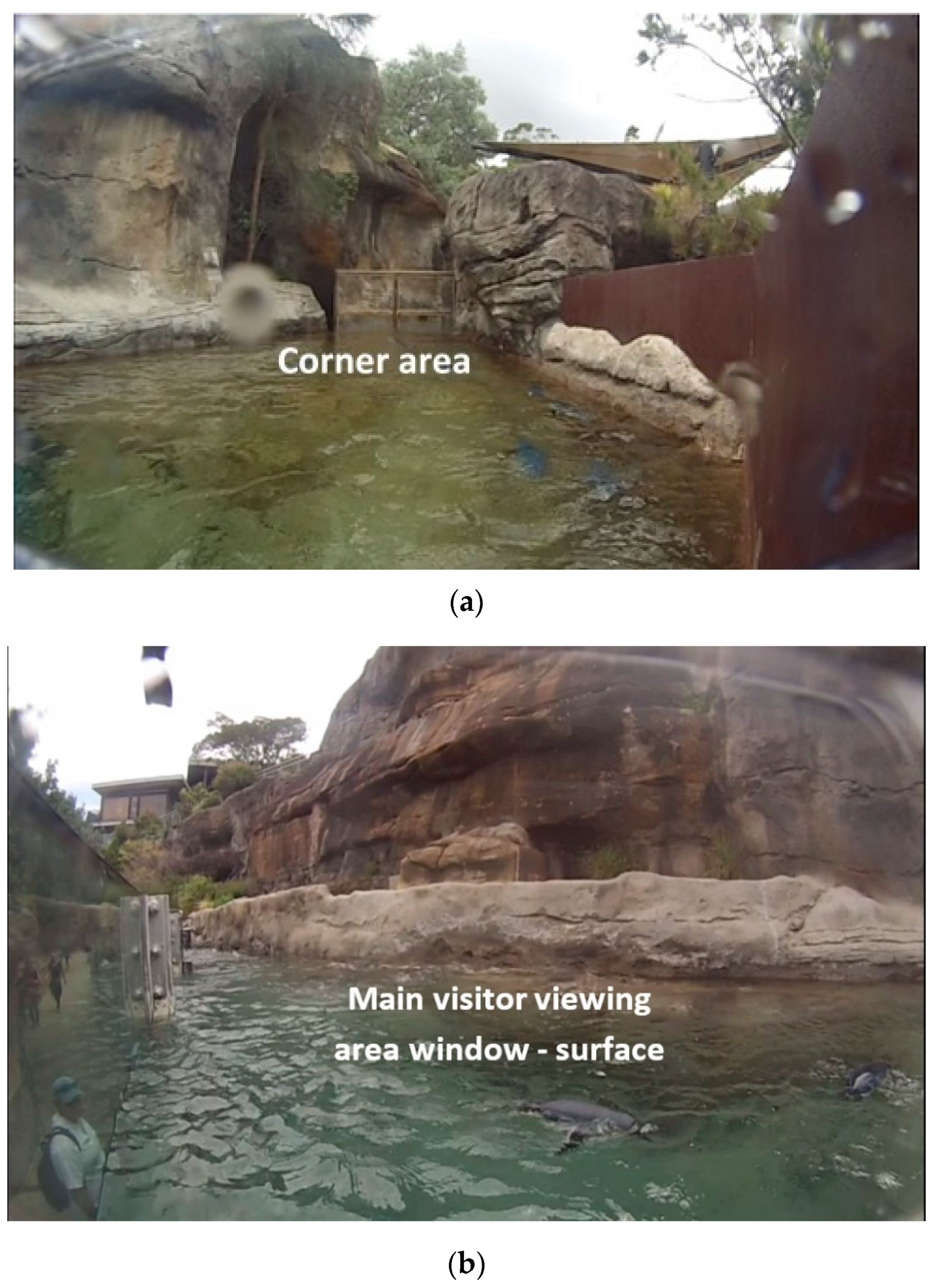 Animals 10 01224 g004a Animals 10 01224 g004a