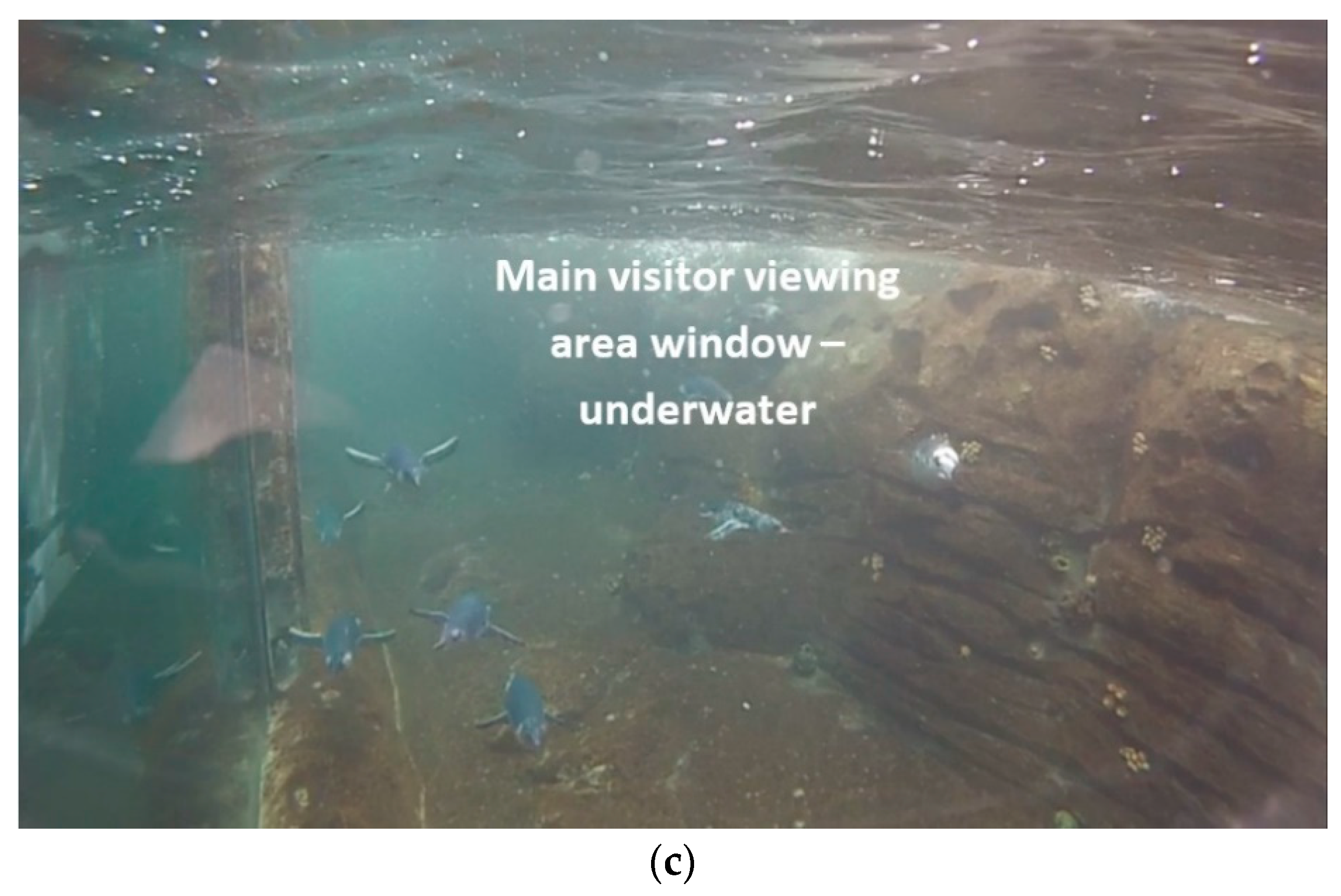 Animals 10 01224 g004b Animals 10 01224 g004b