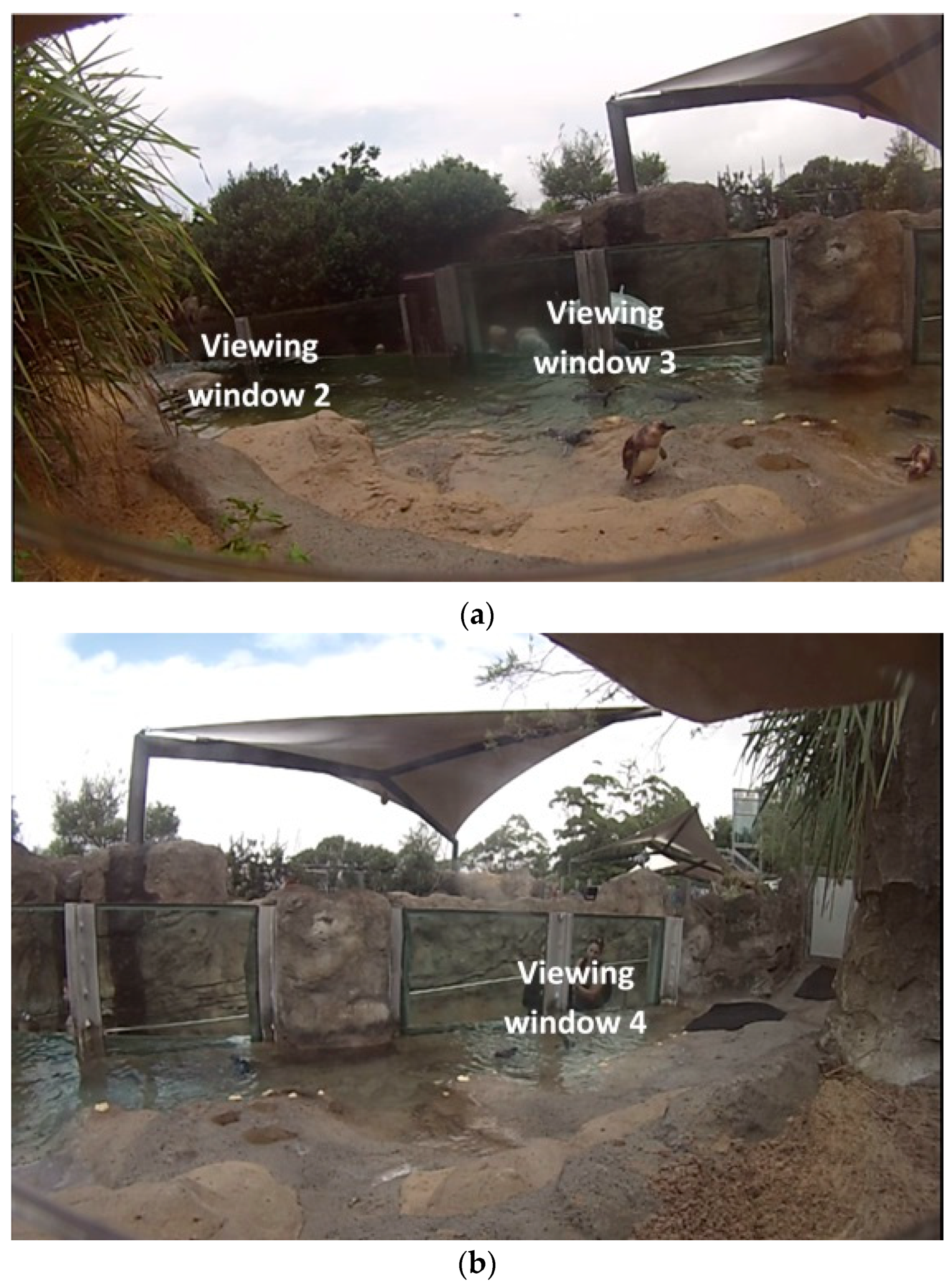 Animals 10 01224 g005 Animals 10 01224 g005