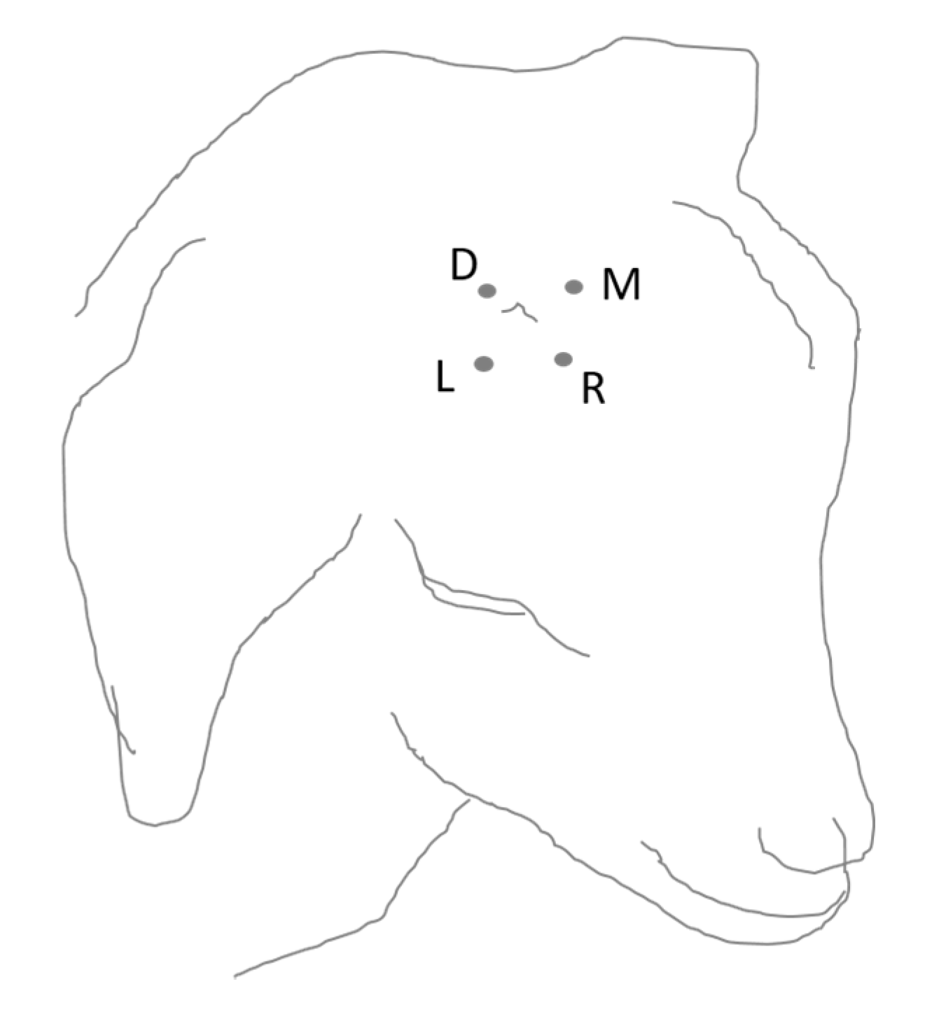 Animals 10 01228 g002 Animals 10 01228 g002