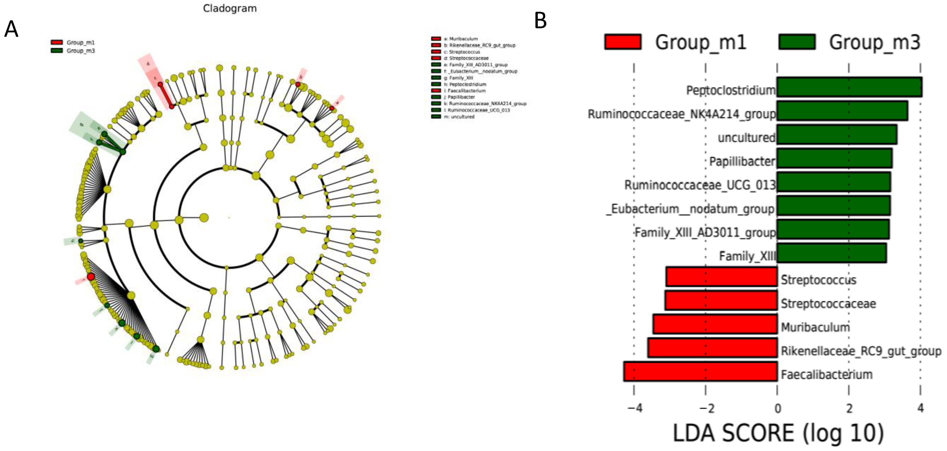 Animals 10 01232 g003 Animals 10 01232 g003