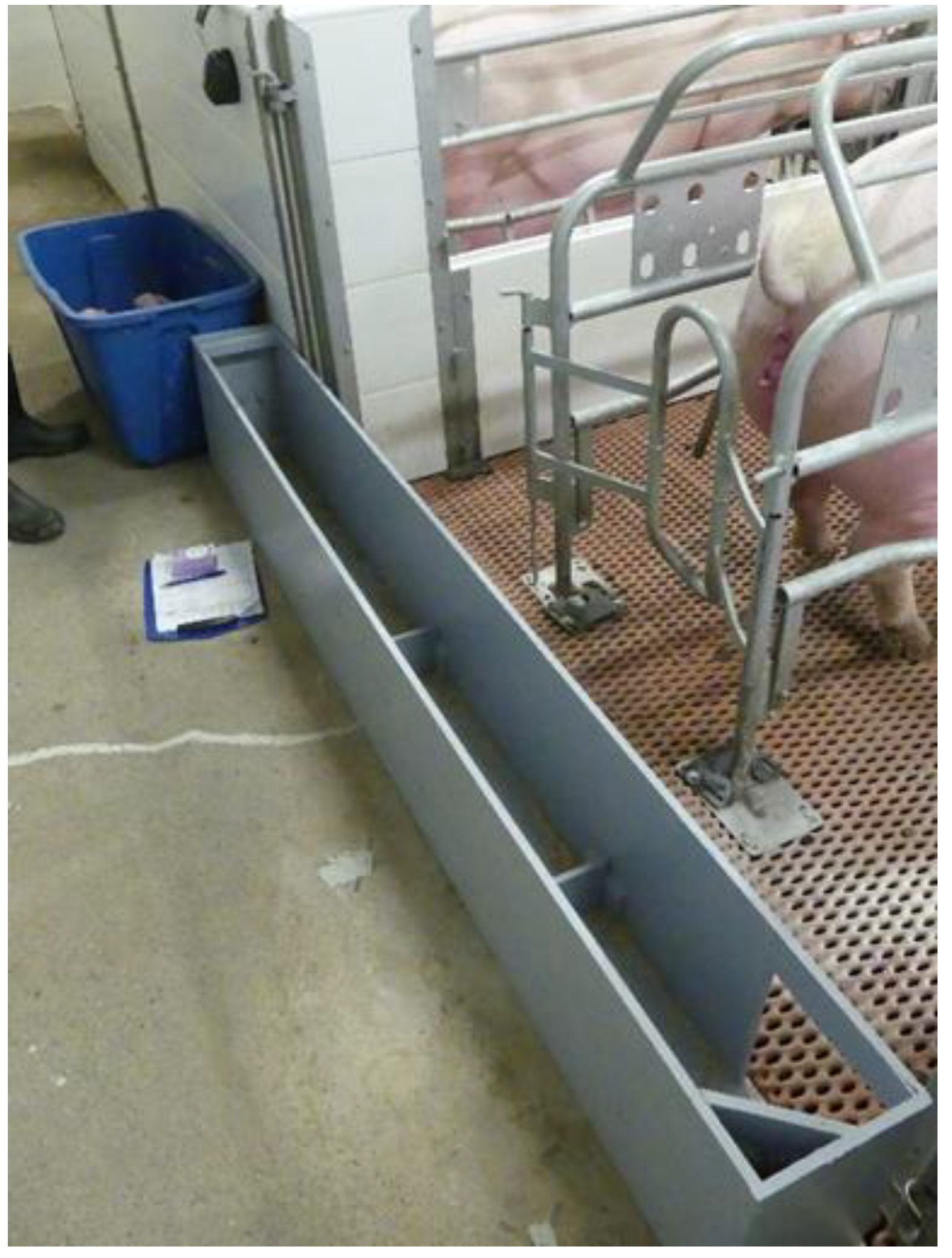 Animals 10 01237 g001