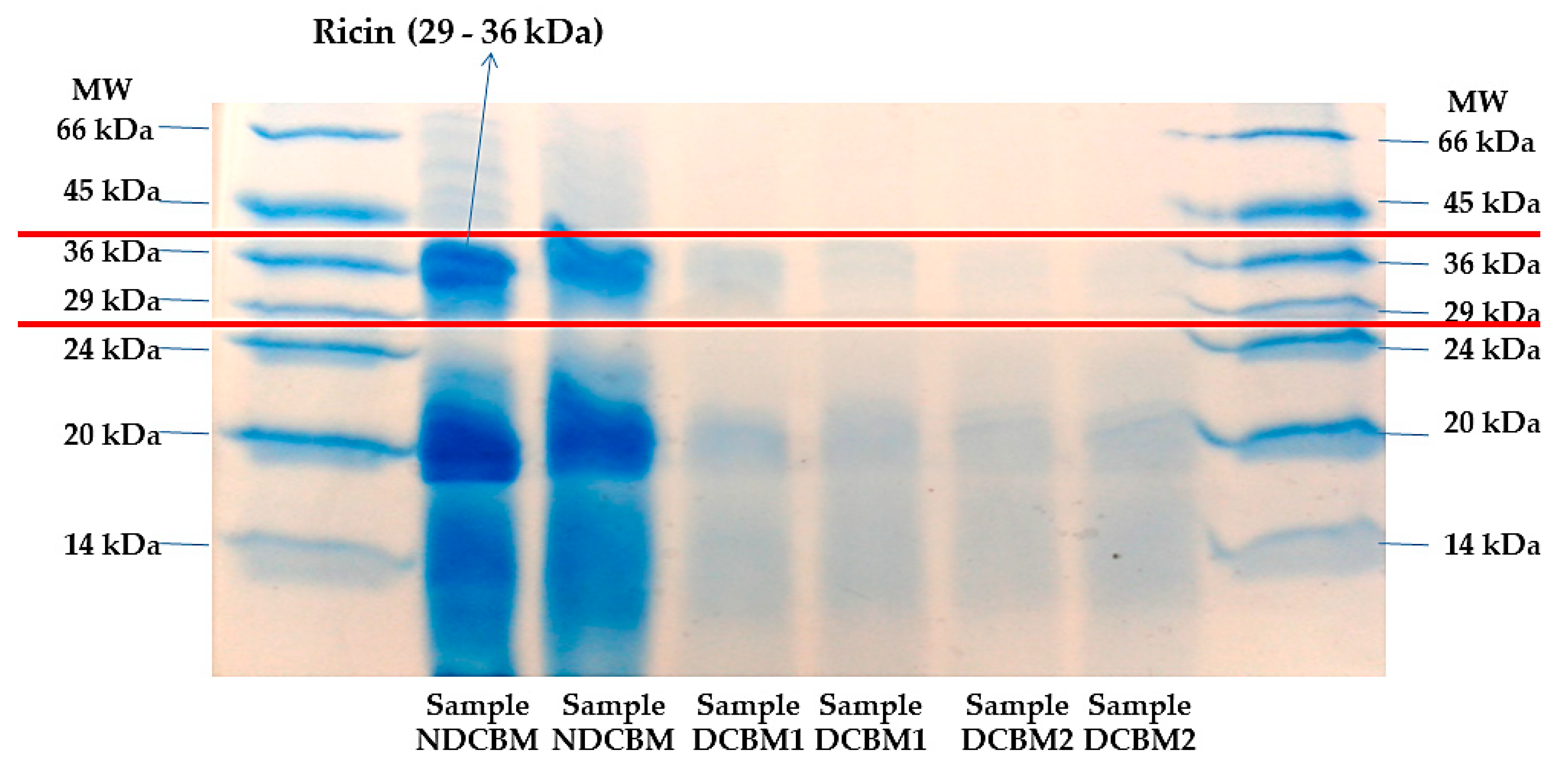 Animals 10 01250 g001