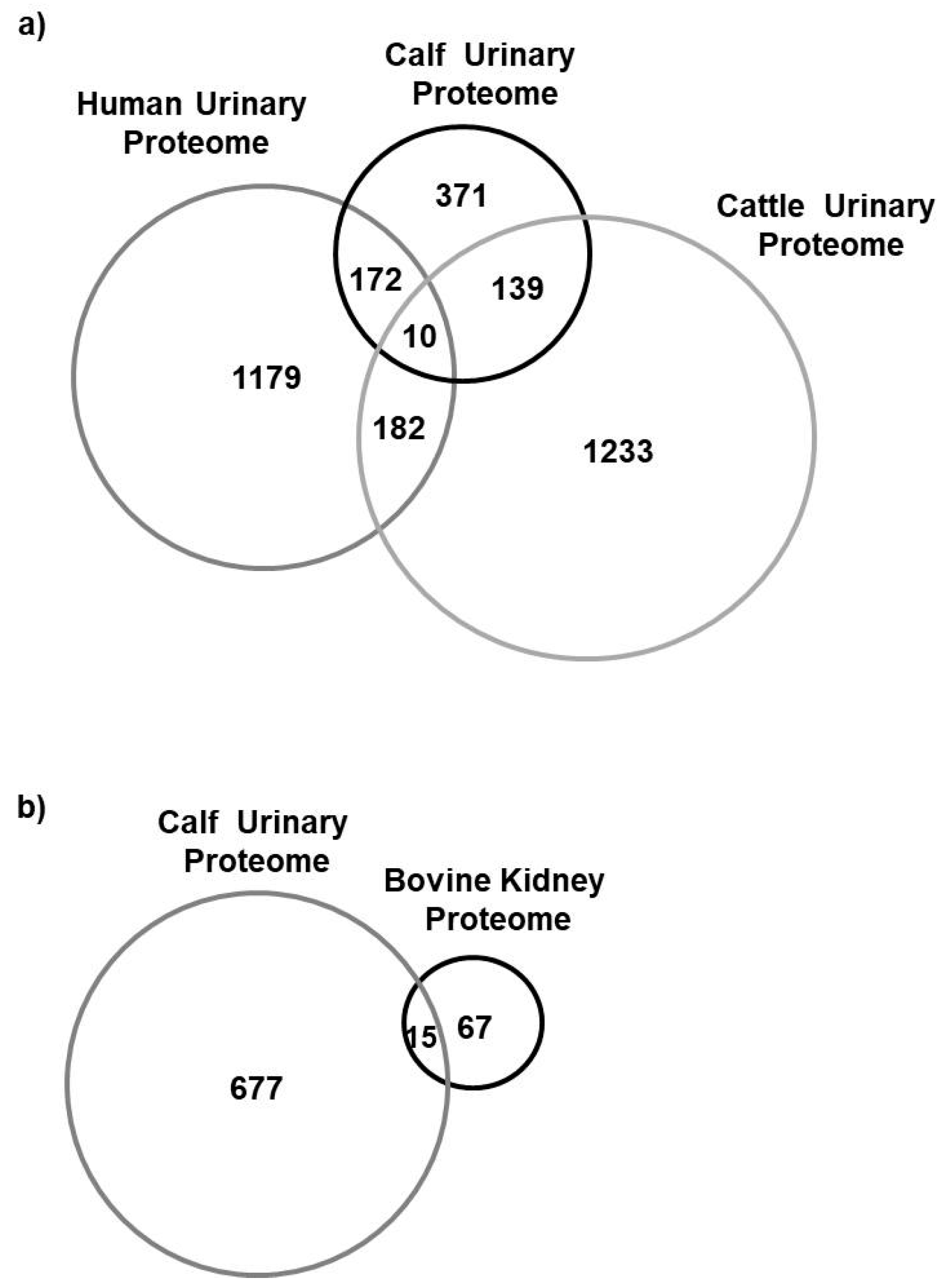 Animals 10 01257 g004