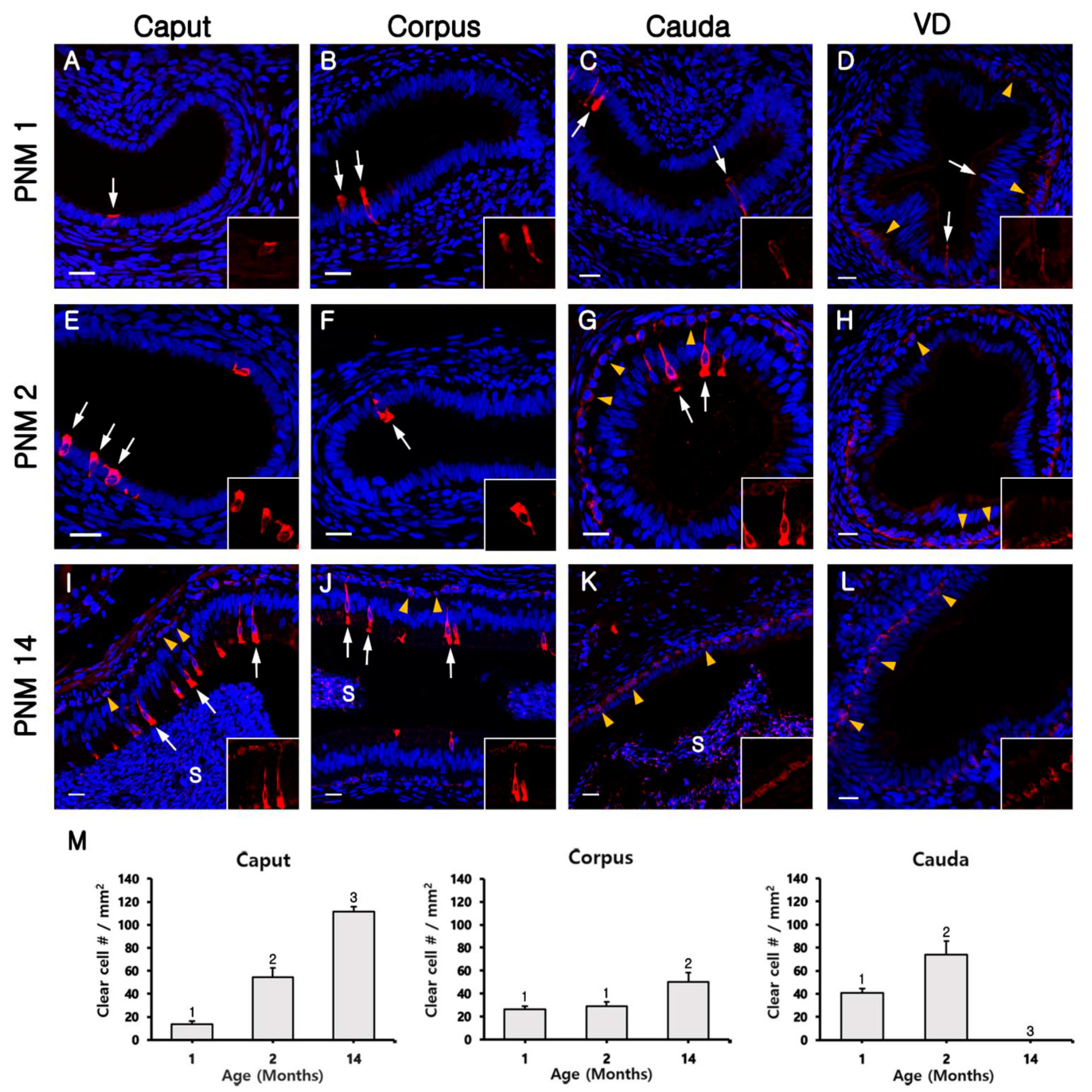 Animals 10 01273 g002 Animals 10 01273 g002