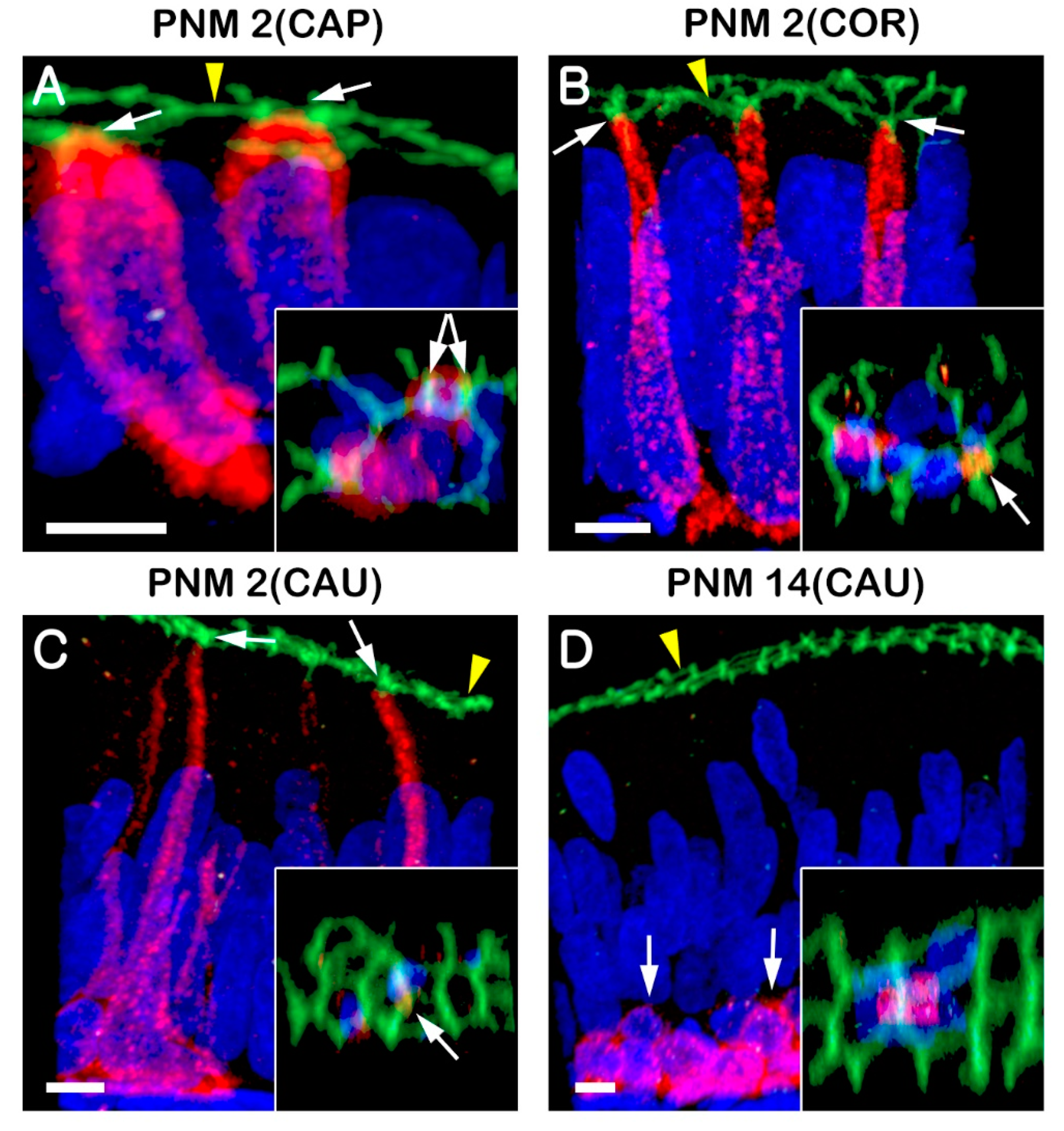 Animals 10 01273 g004 Animals 10 01273 g004