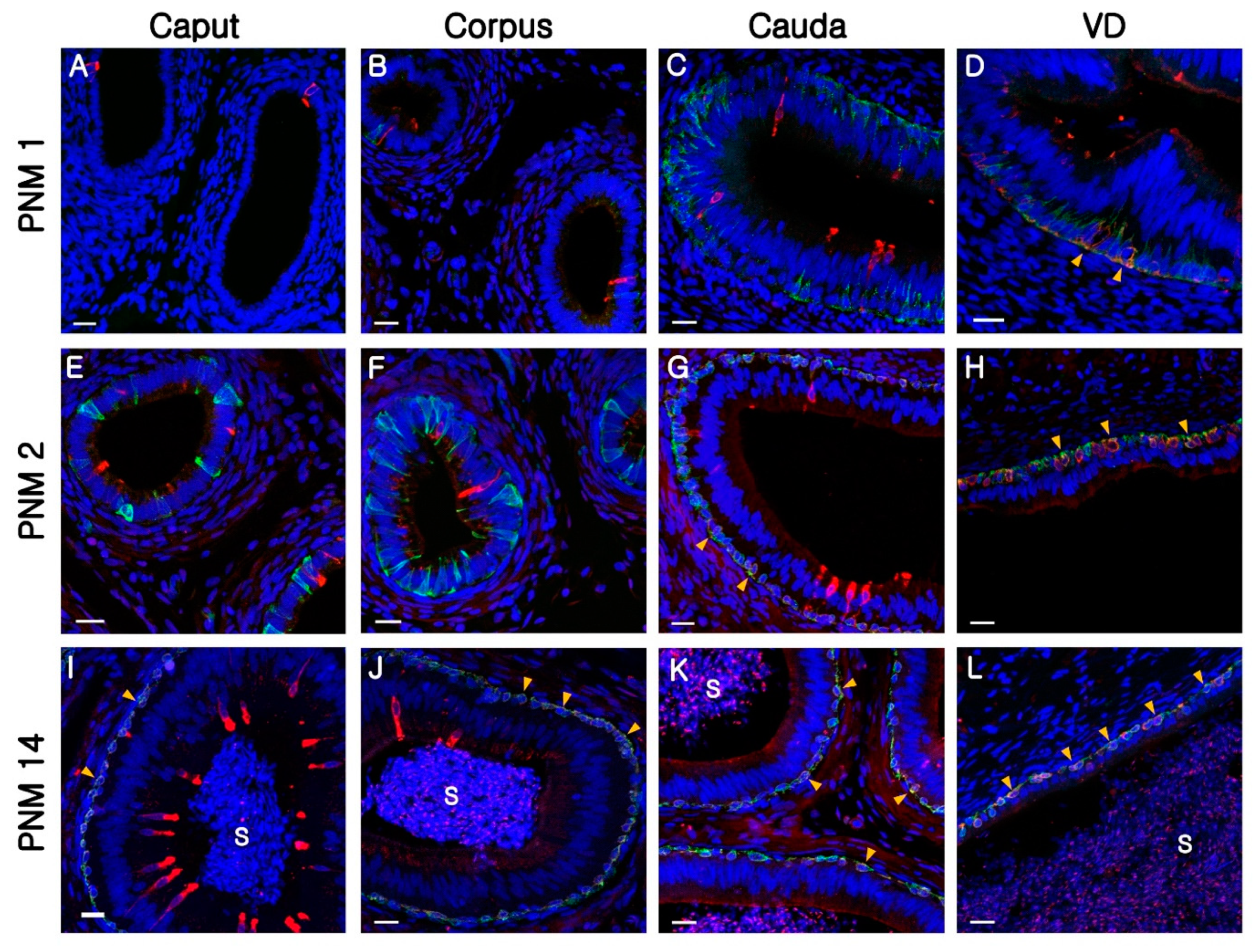Animals 10 01273 g005 Animals 10 01273 g005