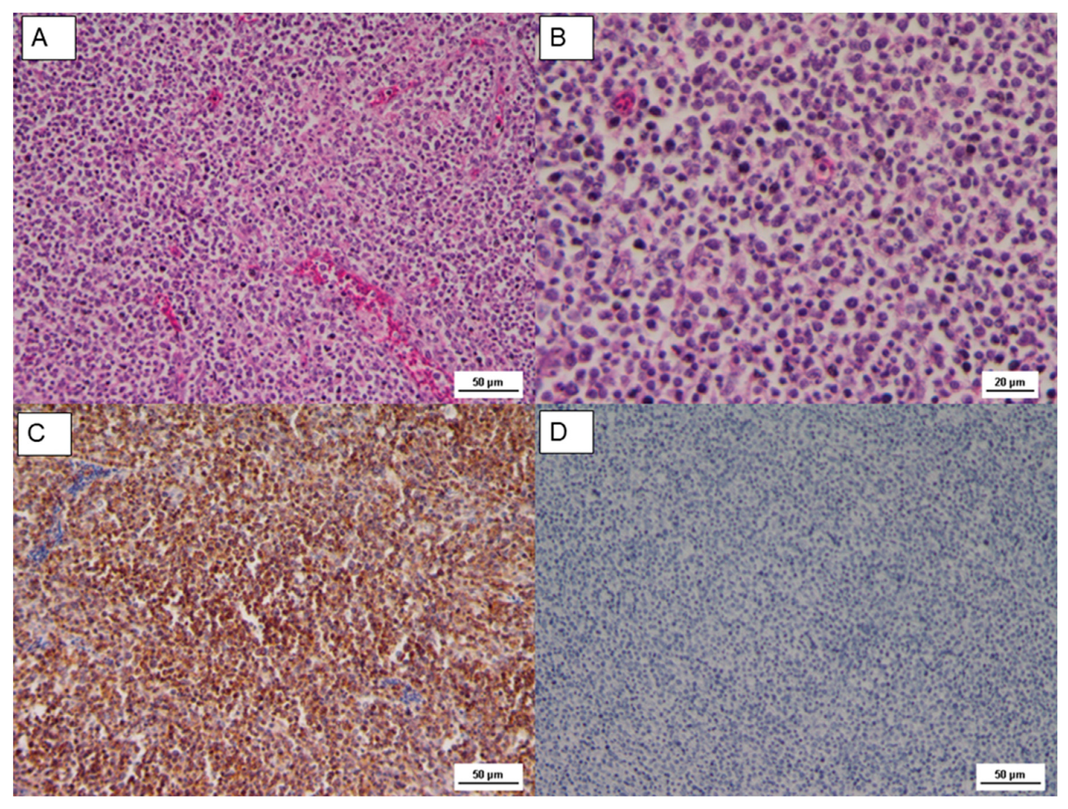 Animals 10 01280 g002