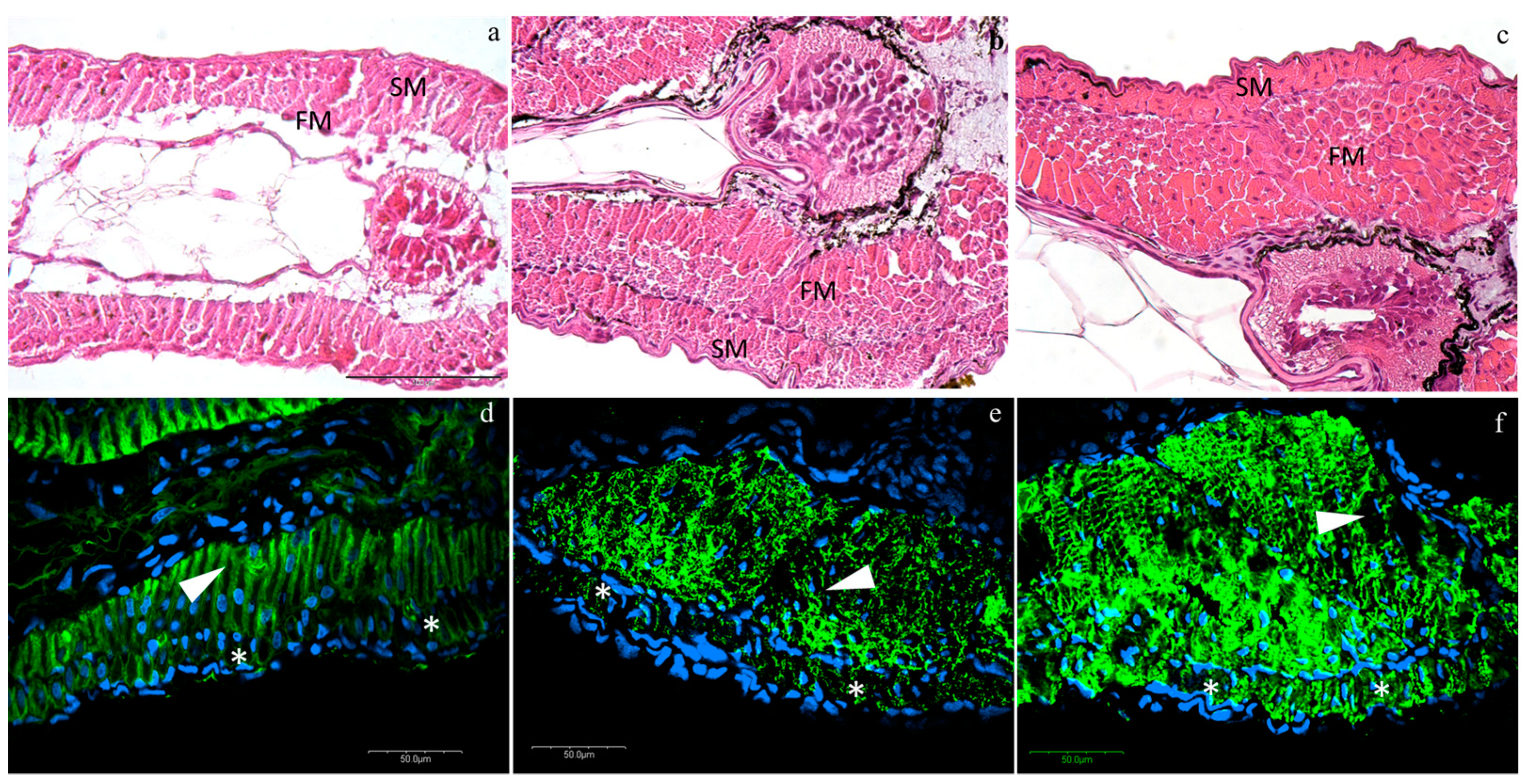 Animals 10 01289 g001 Animals 10 01289 g001