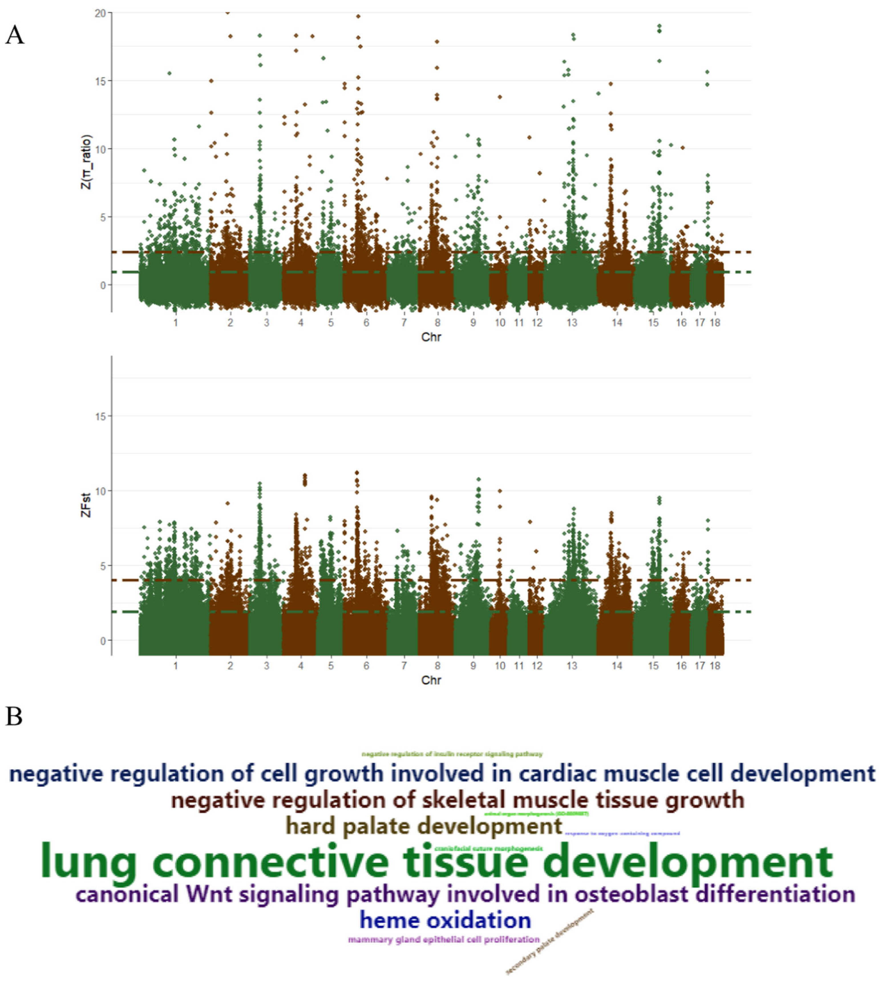 Animals 10 01297 g005 Animals 10 01297 g005