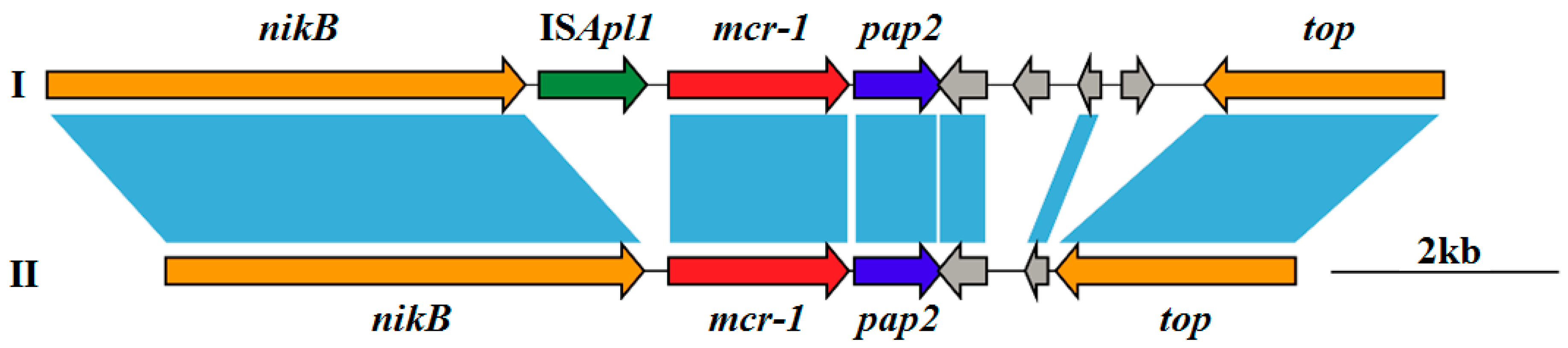 Animals 10 01299 g002 Animals 10 01299 g002