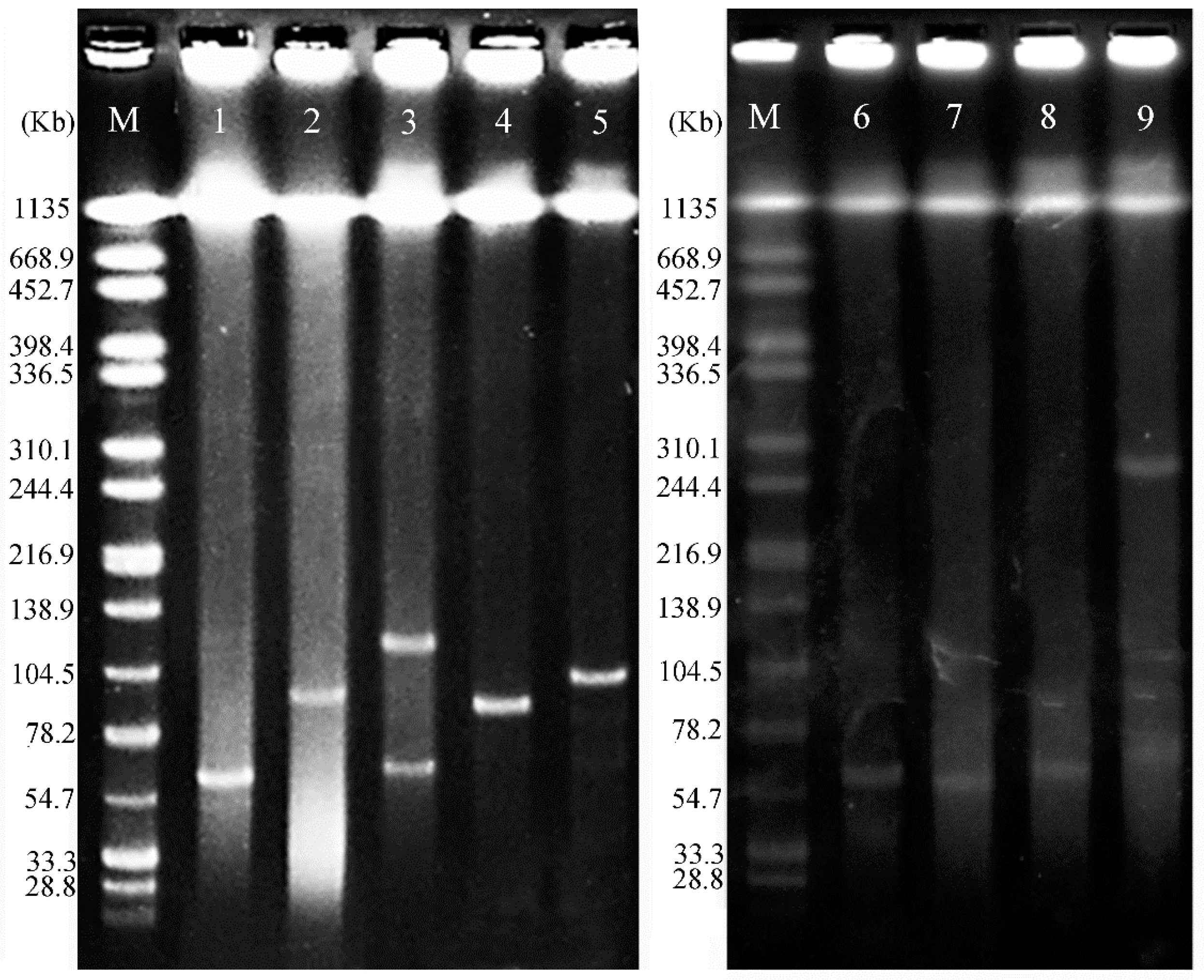 Animals 10 01299 g003 Animals 10 01299 g003