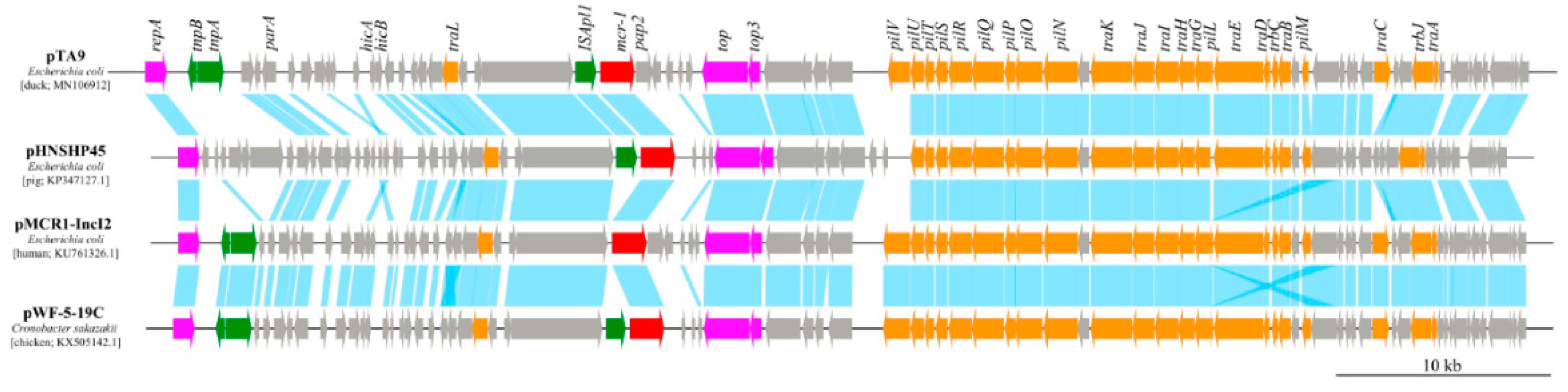 Animals 10 01299 g005 Animals 10 01299 g005