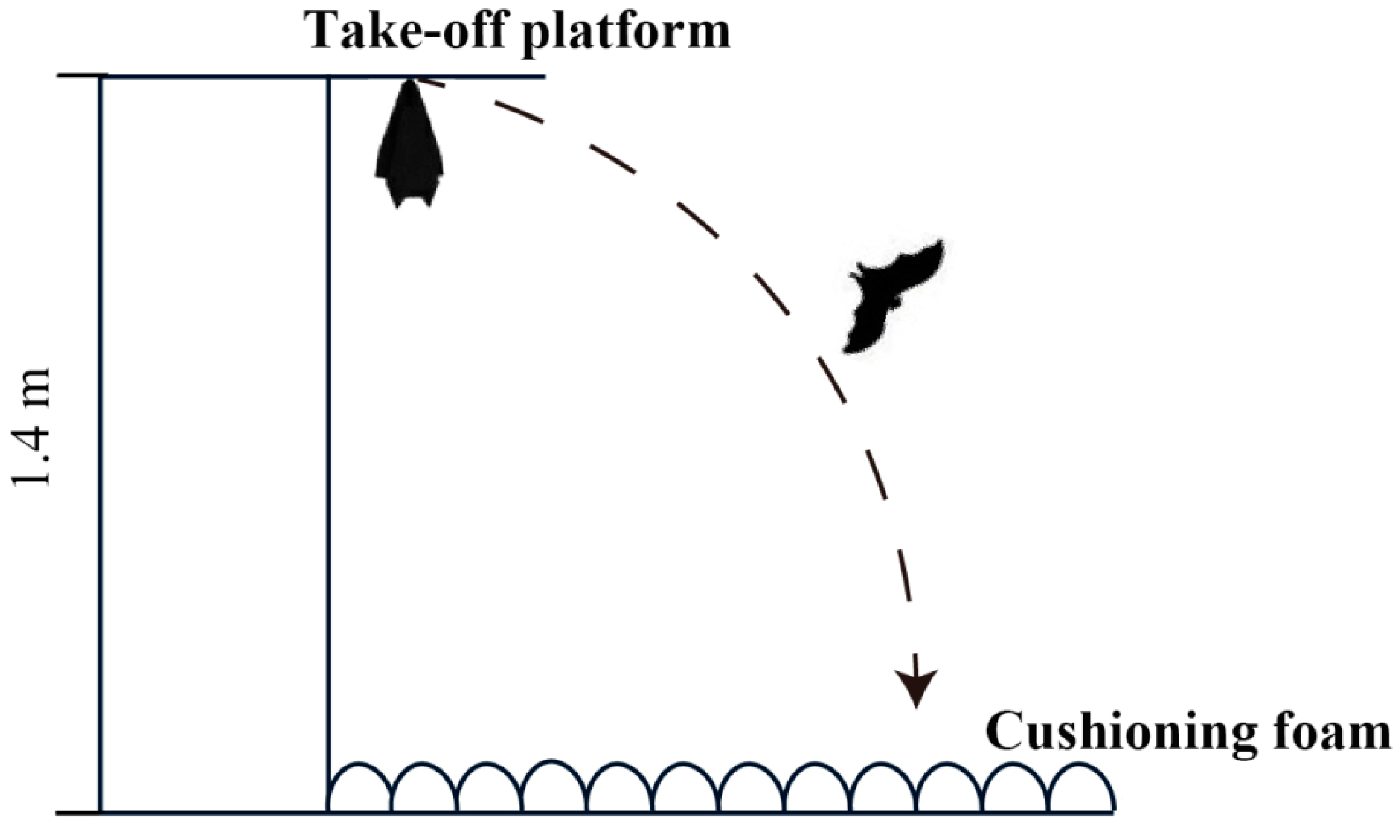 Animals 10 01325 g002 Animals 10 01325 g002