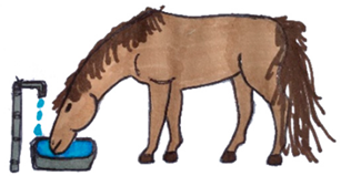 Animals 10 01334 i007 Animals 10 01334 i007