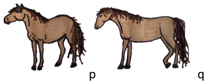 Animals 10 01334 i008 Animals 10 01334 i008