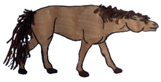 Animals 10 01334 i009 Animals 10 01334 i009