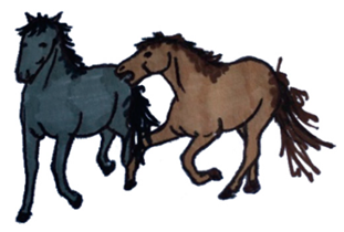 Animals 10 01334 i011 Animals 10 01334 i011