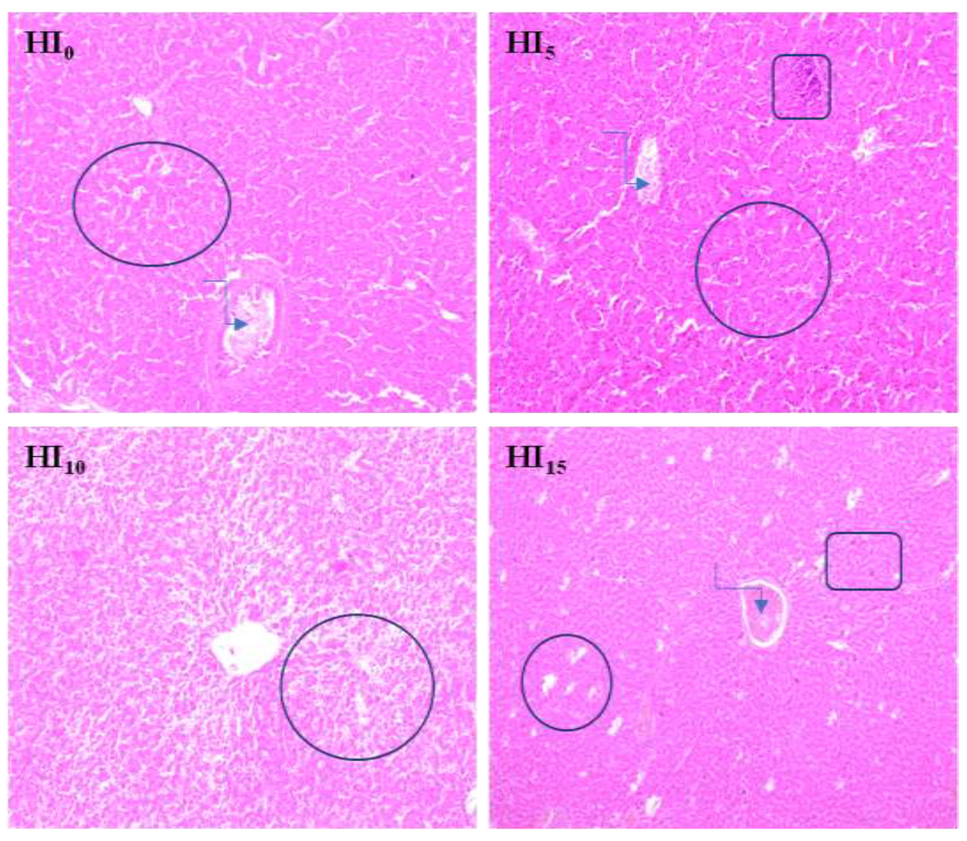 Animals 10 01339 g001 Animals 10 01339 g001