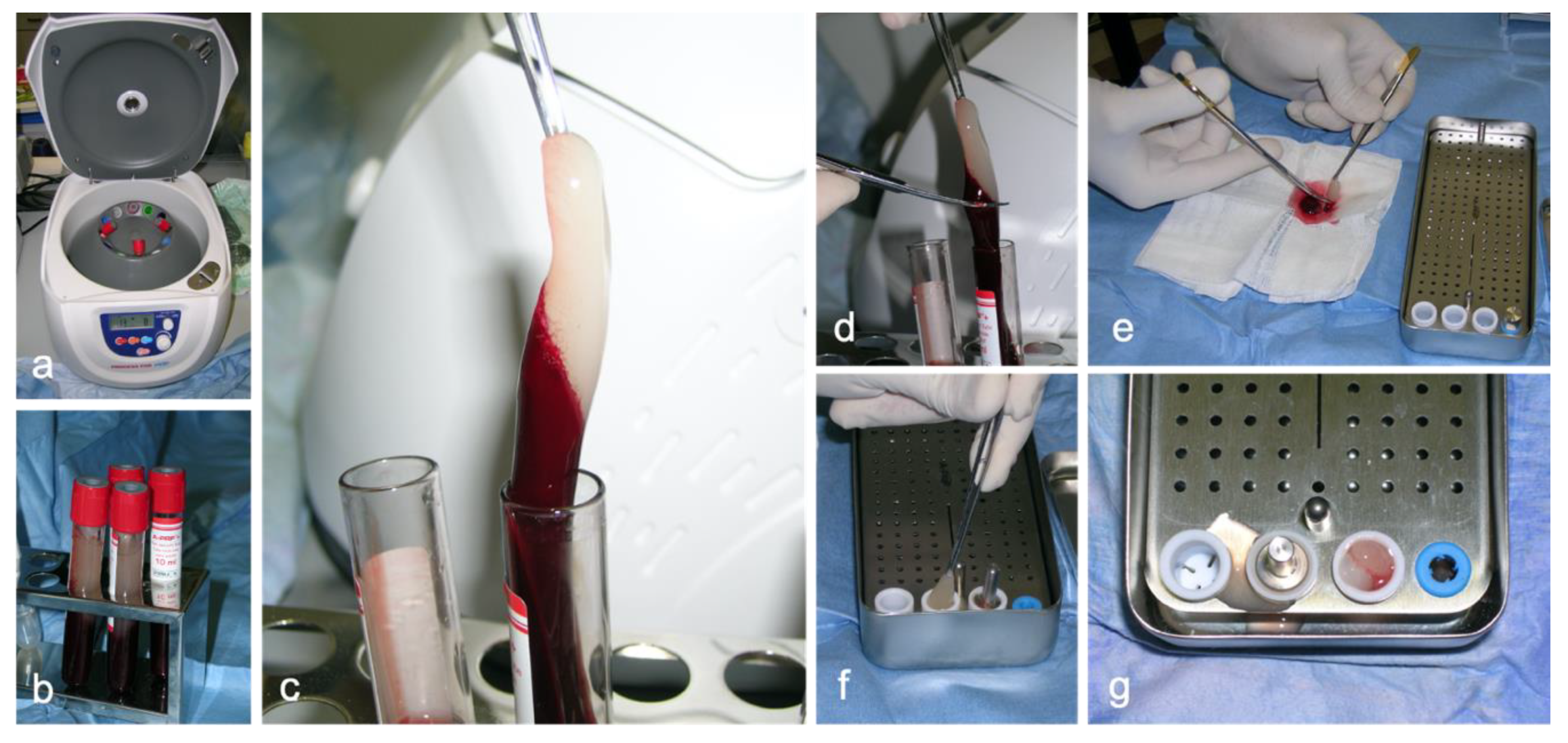 Animals 10 01343 g001