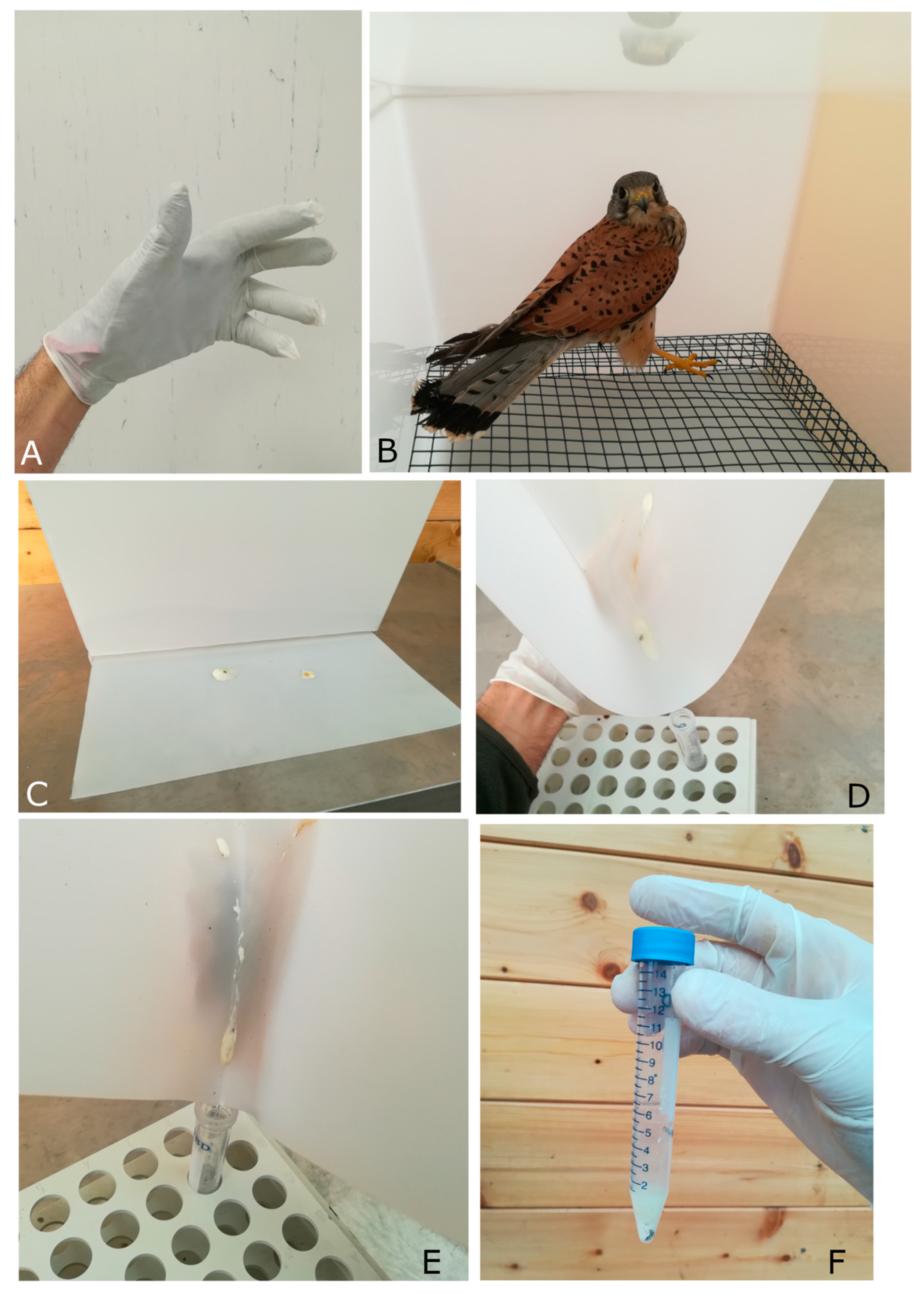 Animals 10 01349 g002 Animals 10 01349 g002