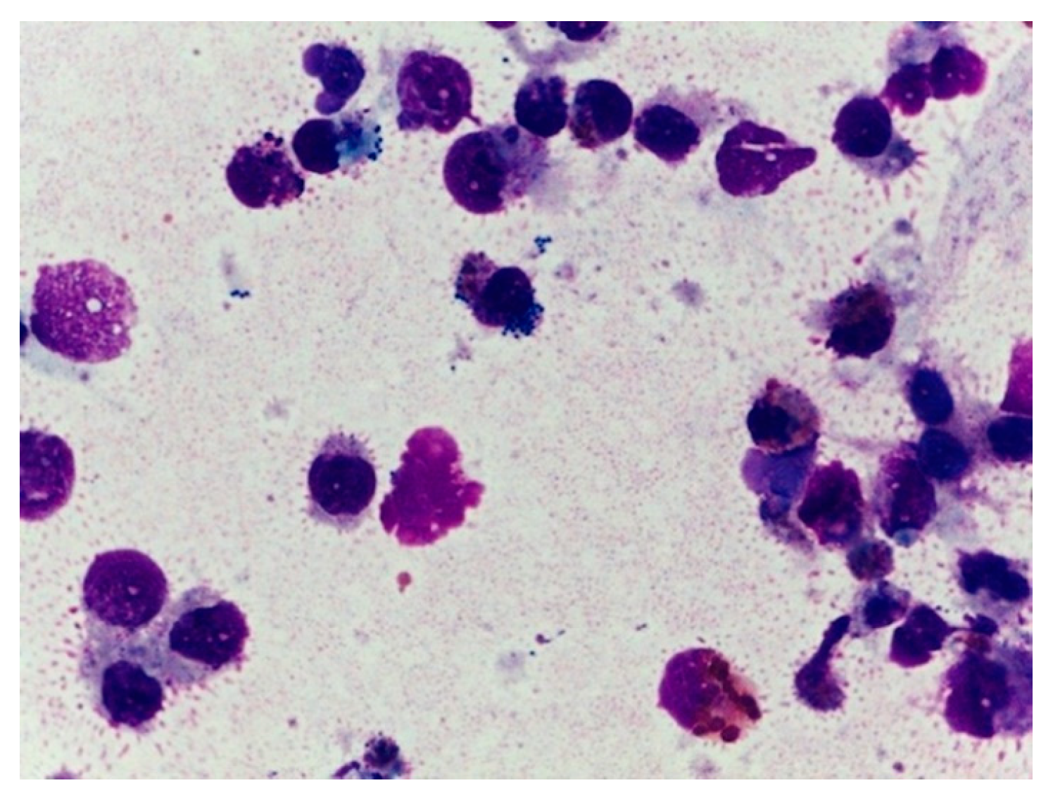 Animals 10 01355 g004