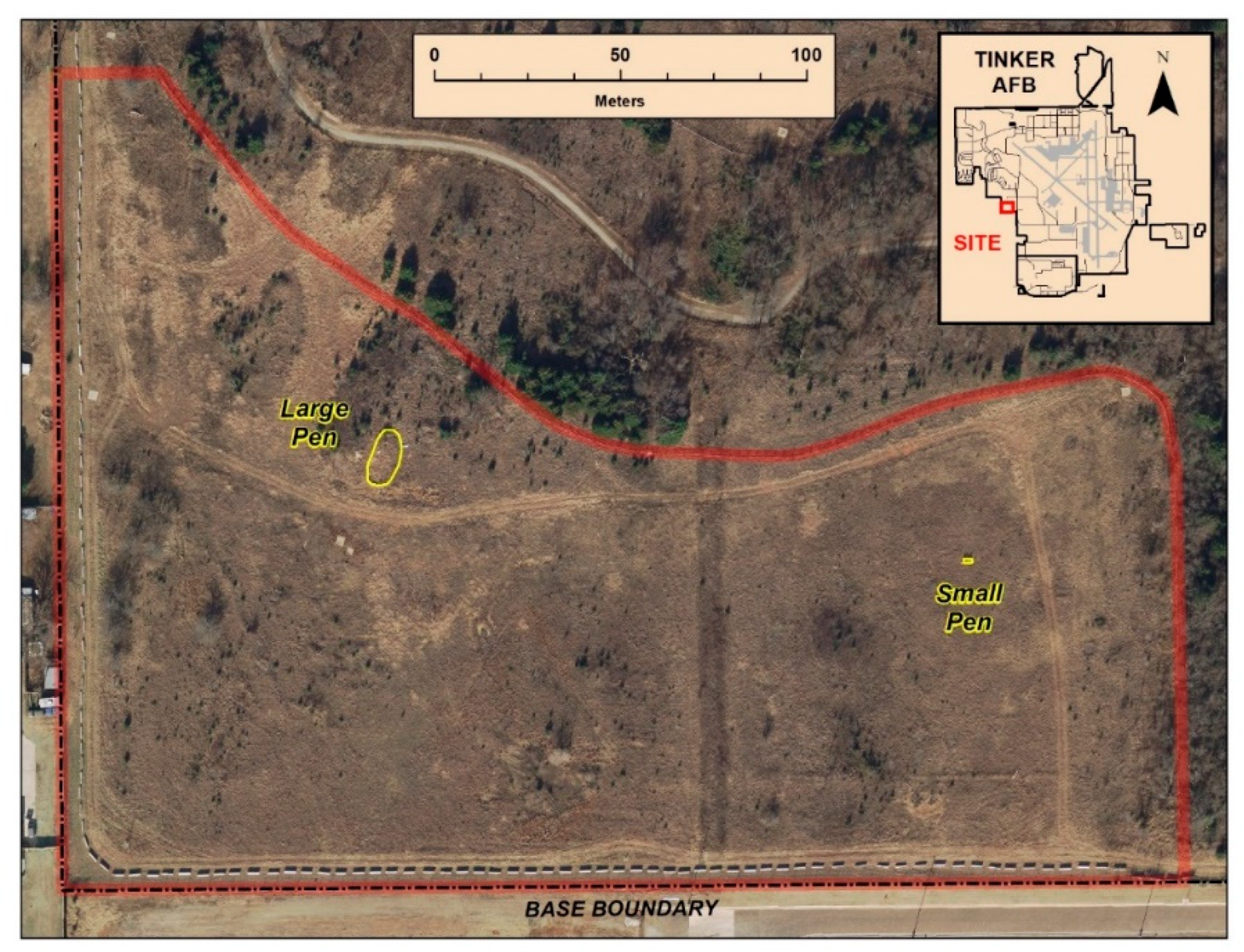 Animals 10 01358 g001