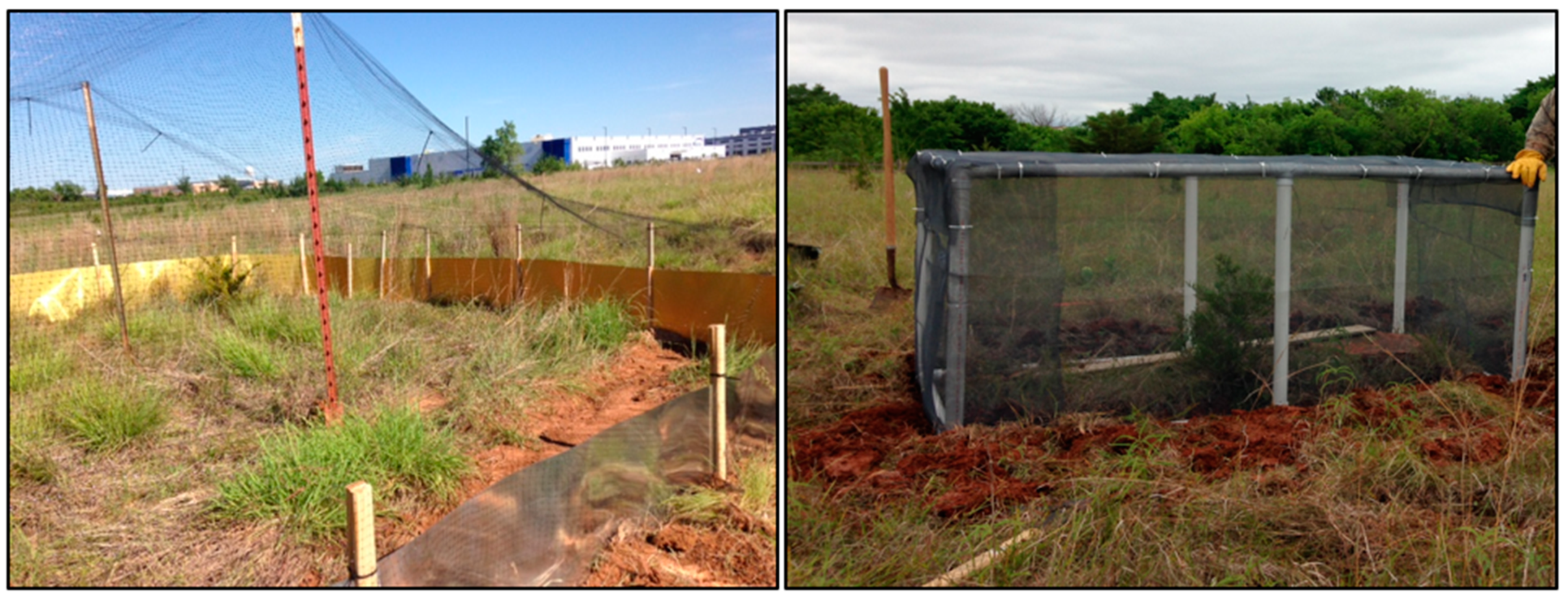 Animals 10 01358 g002