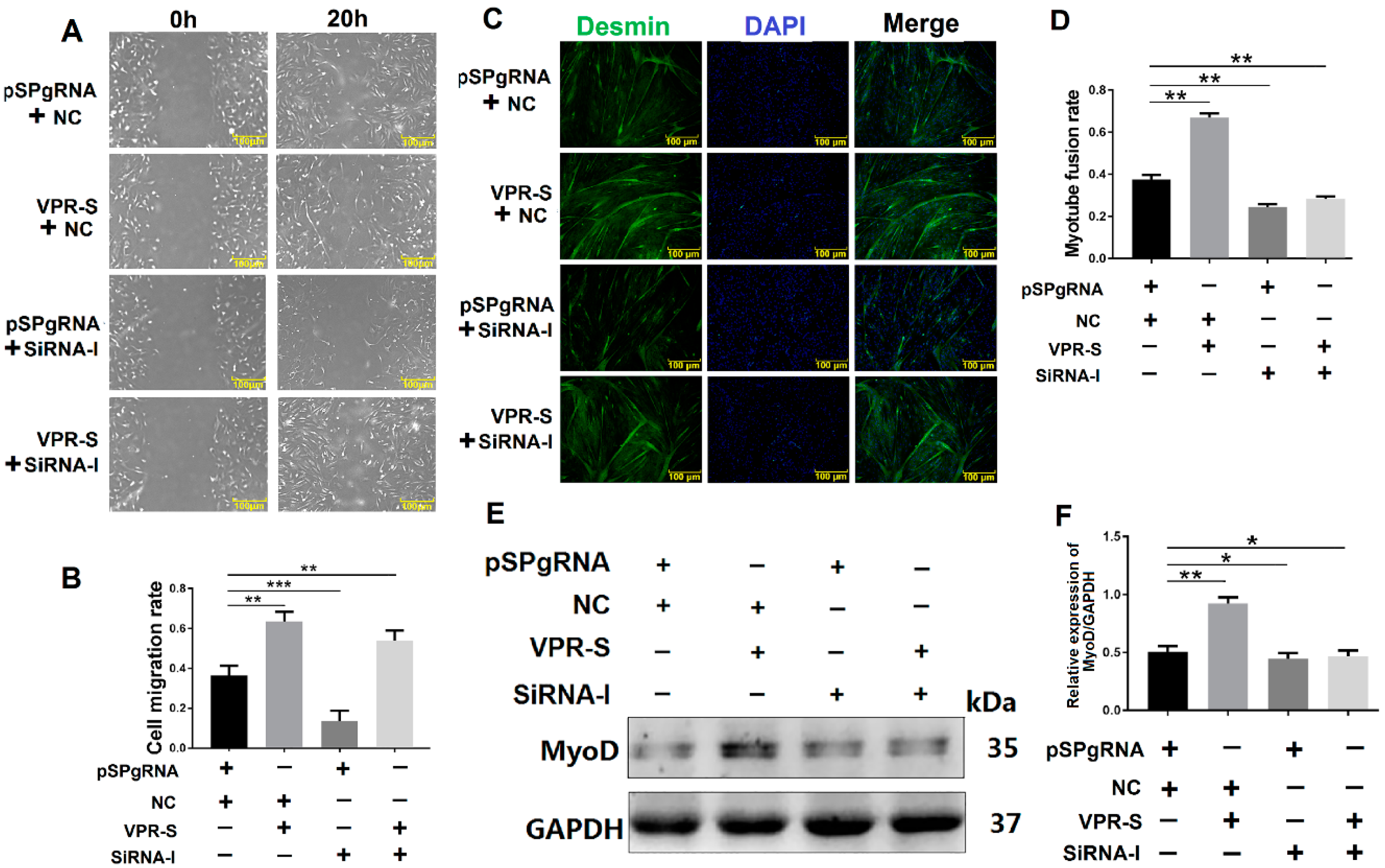 Animals 10 01361 g006 Animals 10 01361 g006