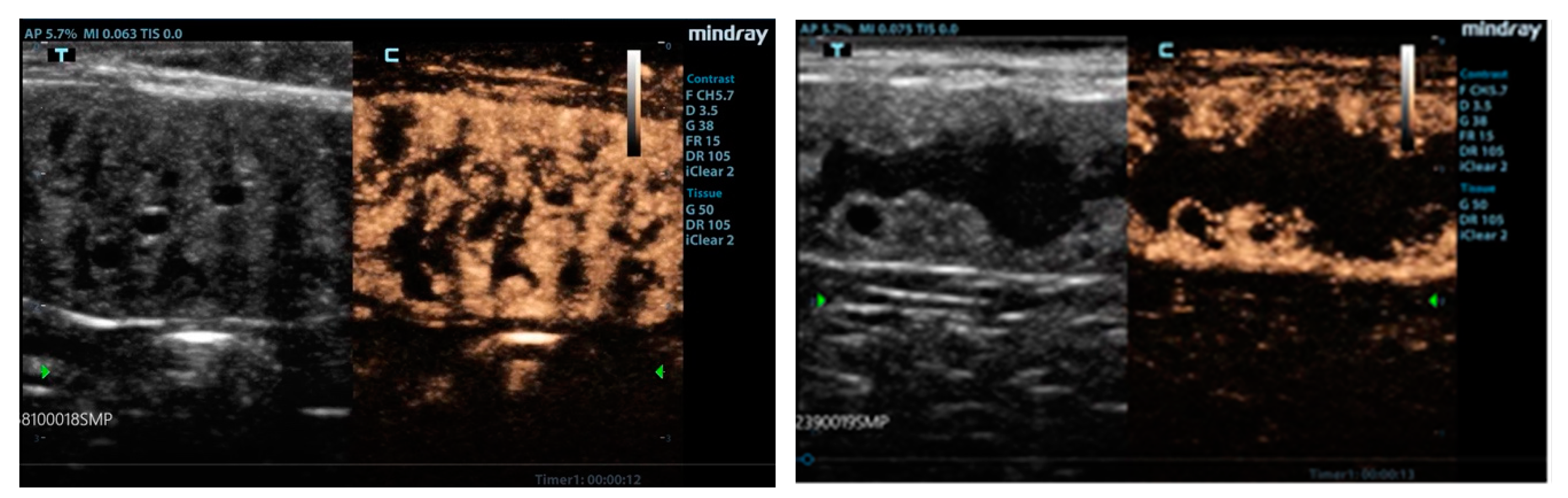 Animals 10 01368 g003